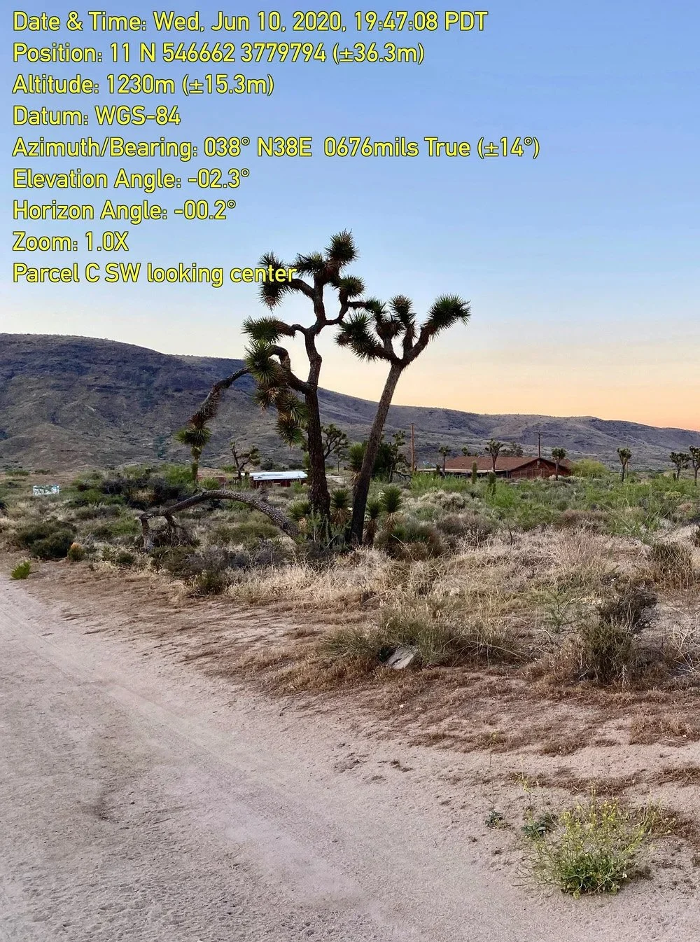 A desert landscape with a twisted Joshua tree in the foreground, dry dirt road on the left, rolling hills in the background, and a few scattered houses. The sky is clear with a gradient of blue and orange hues at sunset.