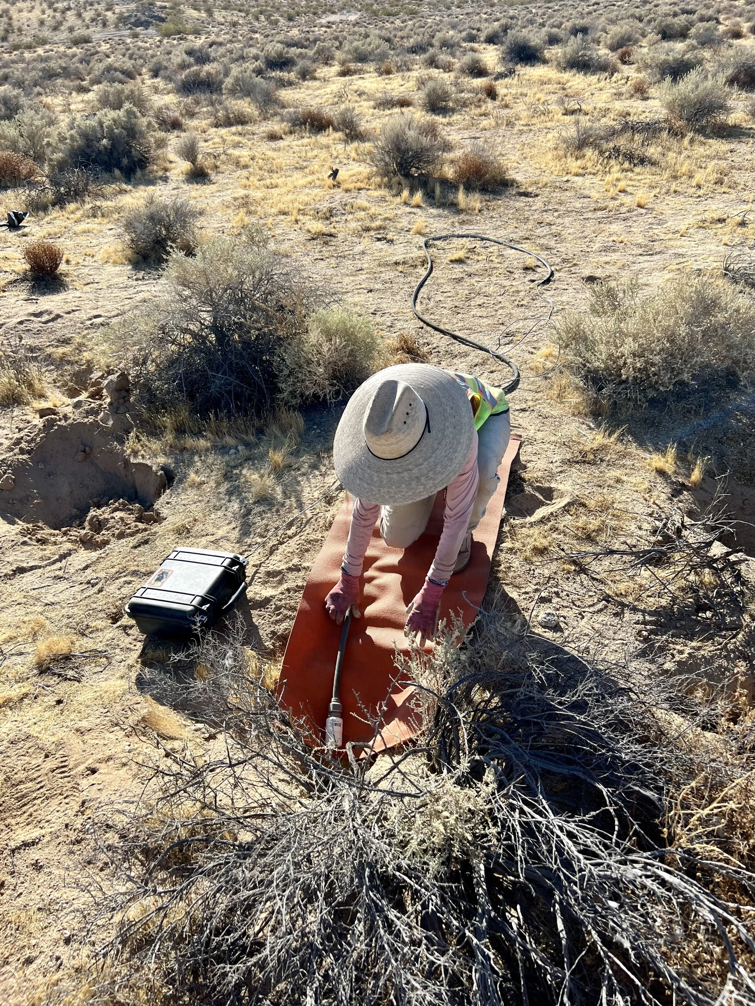 Person in a wide-brimmed hat and long-sleeved shirt kneels on an orange pad, pulling a vine in a desert landscape with dry shrubs and bushes, using a tool connected to a black box on the ground.