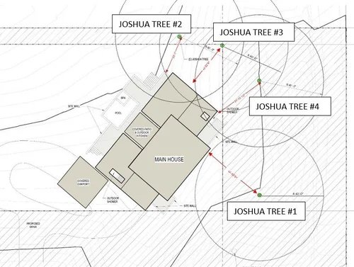Site plan showing the main house, an outdoor kitchen, and four Joshua trees labeled #1, #2, #3, and #4 with circular zones around each tree.