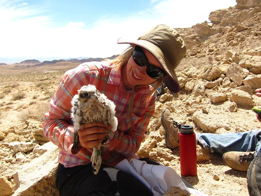 A woman in outdoor gear holding a small owl in a desert landscape with rocky terrain and mountains in the background.