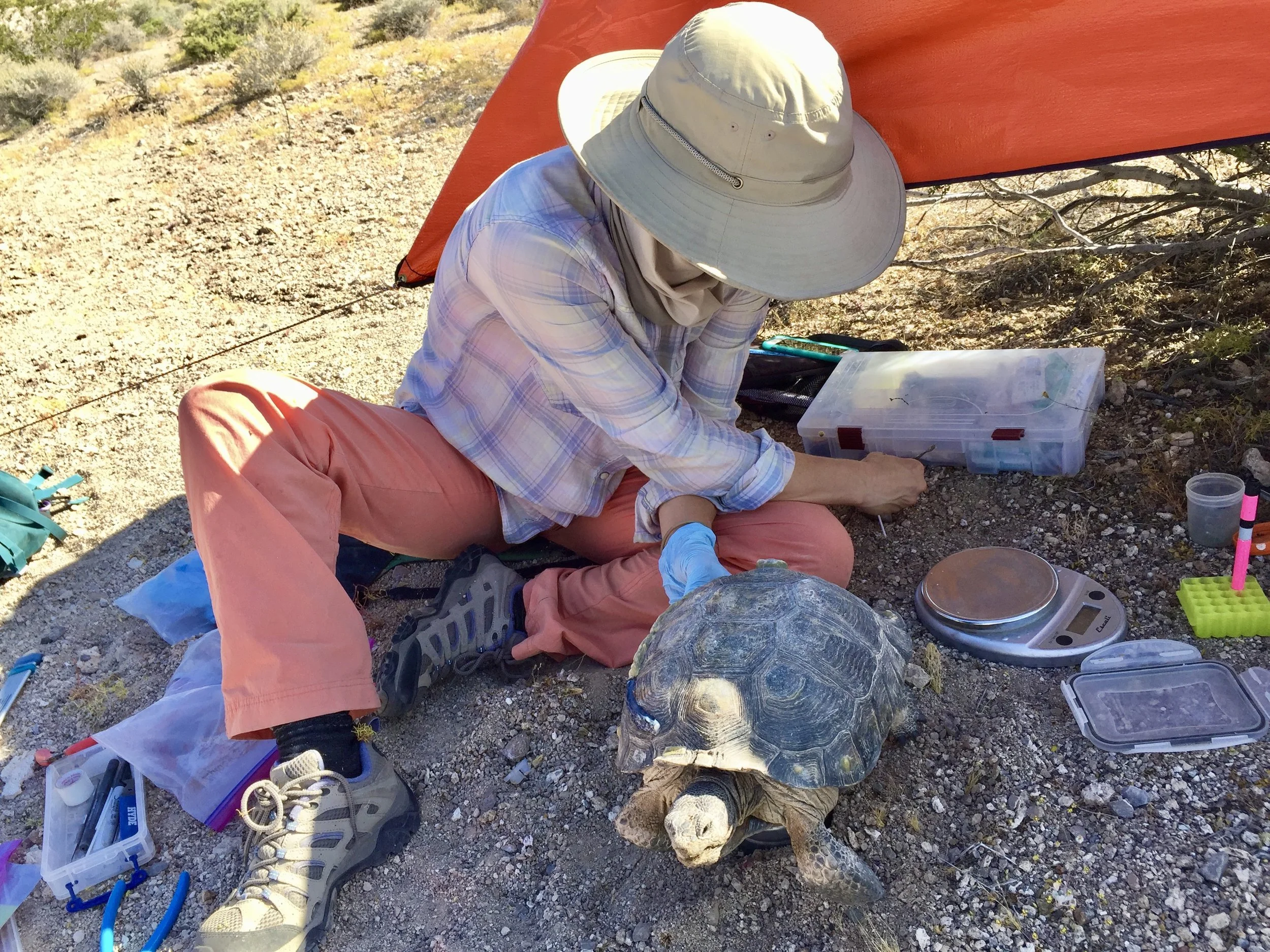 Person wearing a wide-brimmed hat, plaid shirt, and pink pants sitting on the ground outdoors, working with equipment near rocks and bushes.