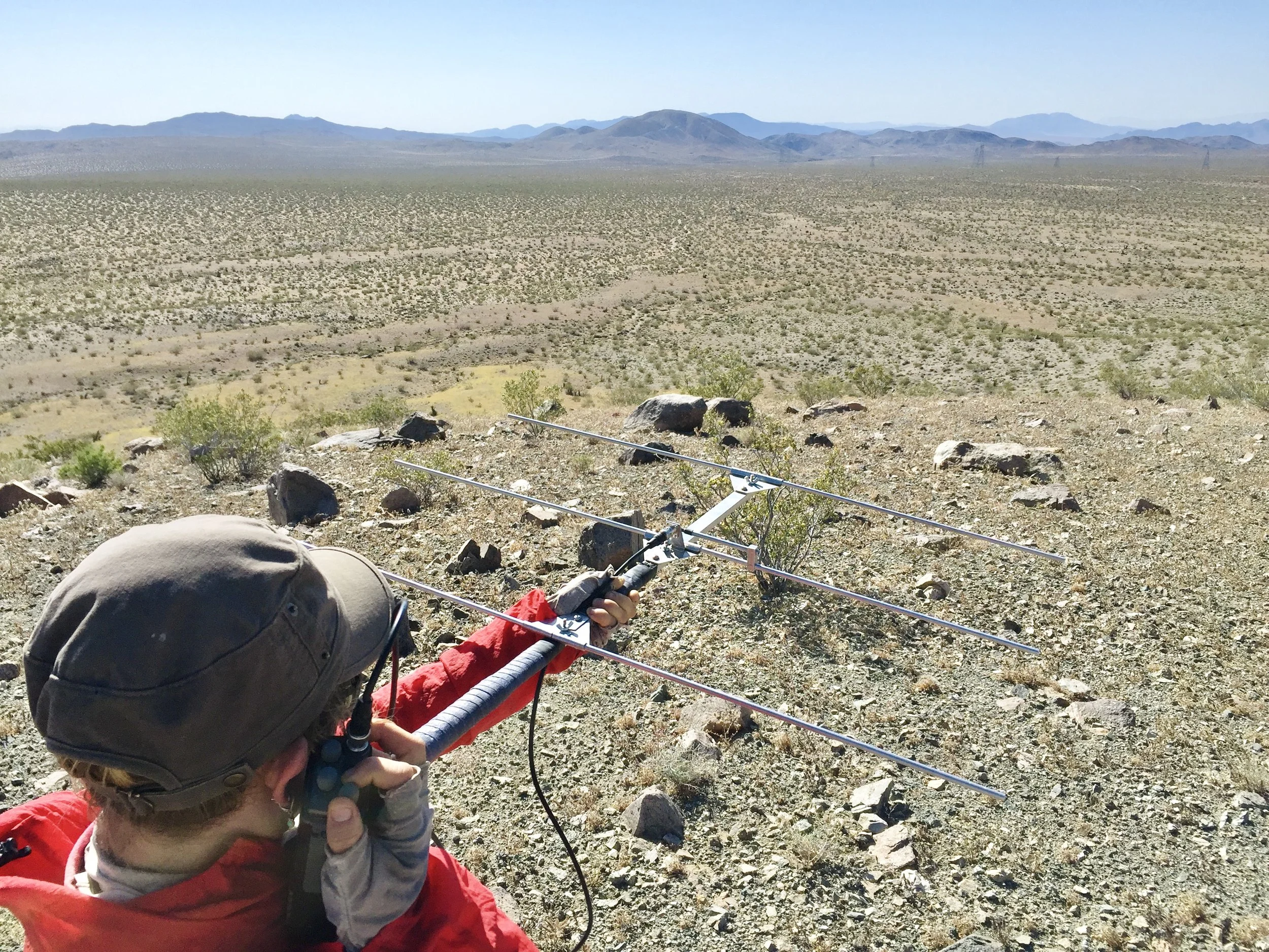 Person wearing a helmet and red jacket holding a radio-controlled drone with a remote controller in a desert landscape with mountains in the background.