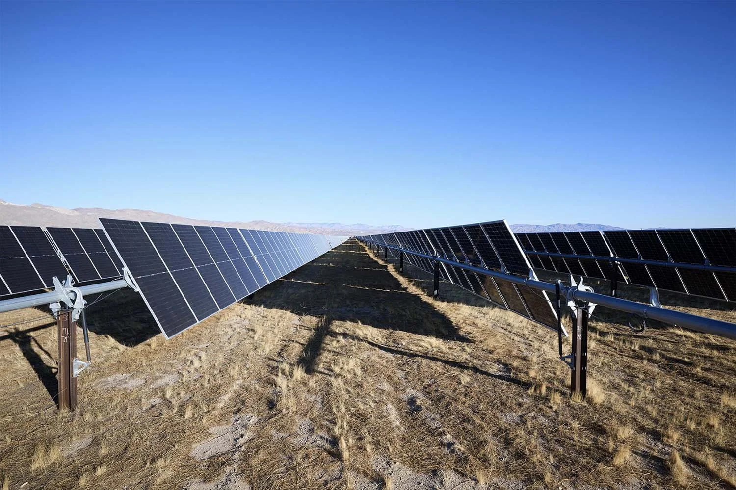 A large array of solar panels installed in a barren, dried grassy field with mountains in the background under a clear blue sky.