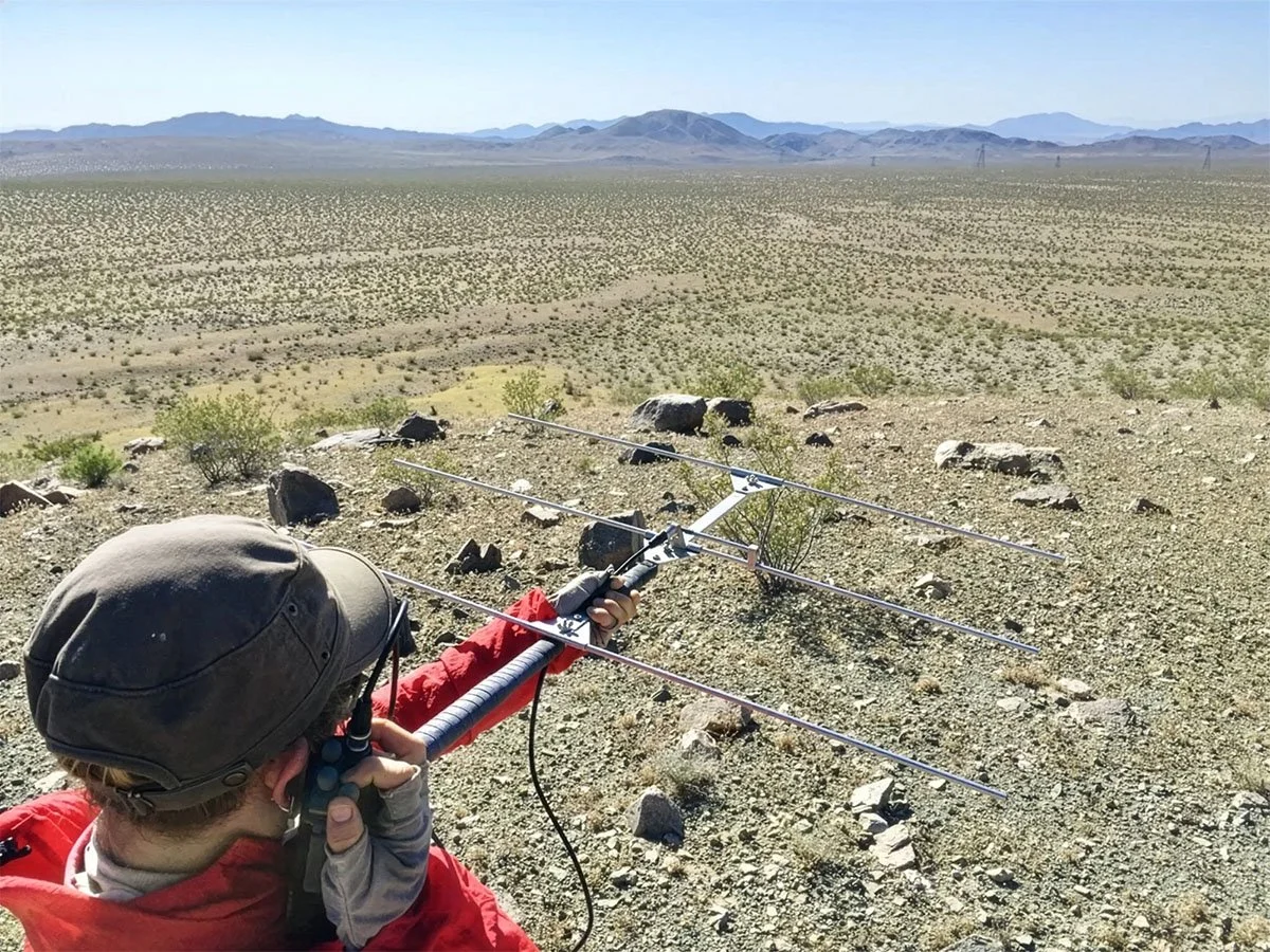 Person in a red jacket and gray gloves using a Yagi-Uda antenna in a desert landscape with mountains in the background.