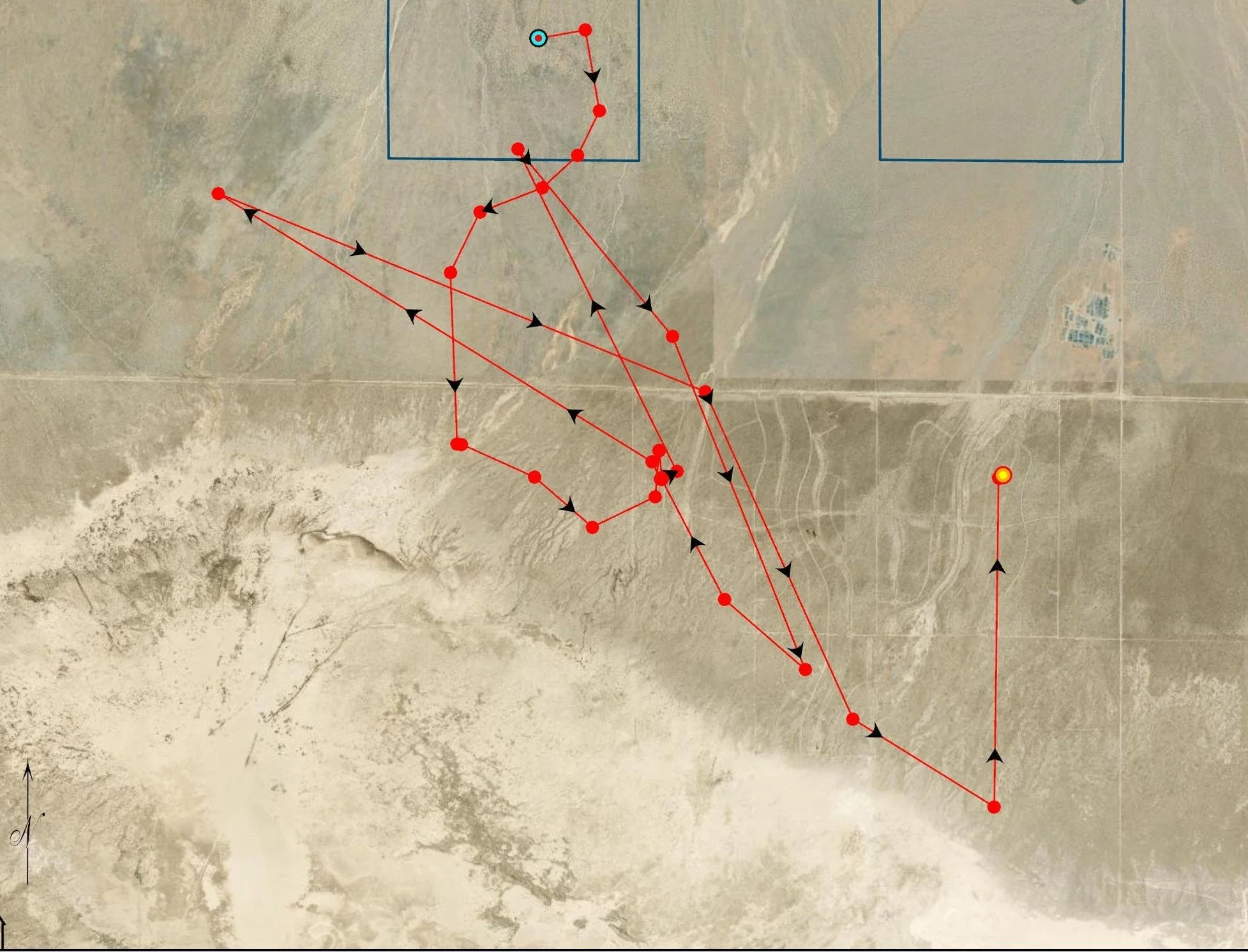 Example of mapped desert tortoise movement patterns