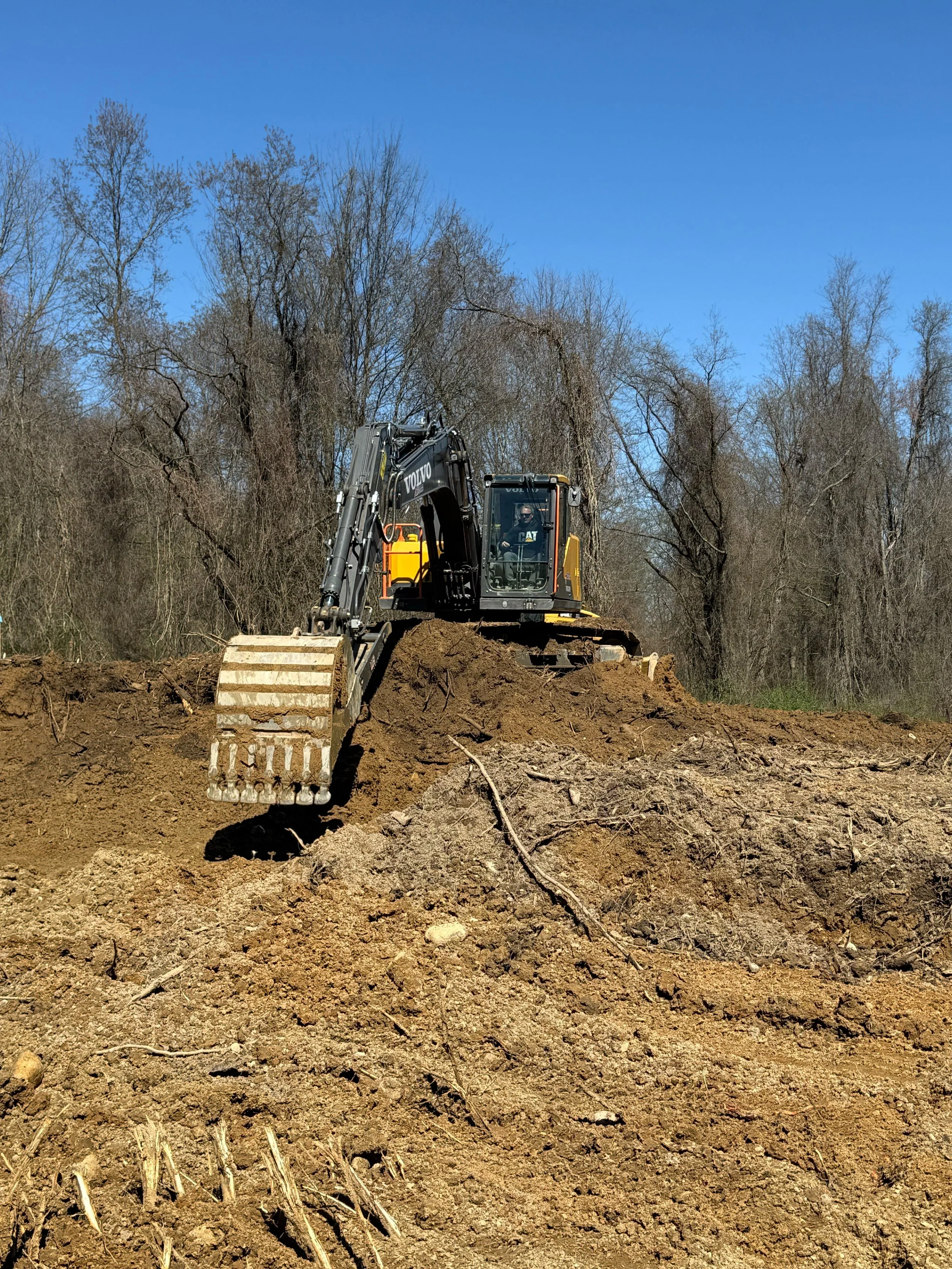 A construction excavator working on a dirt site with a backdrop of leafless trees and a clear blue sky.
