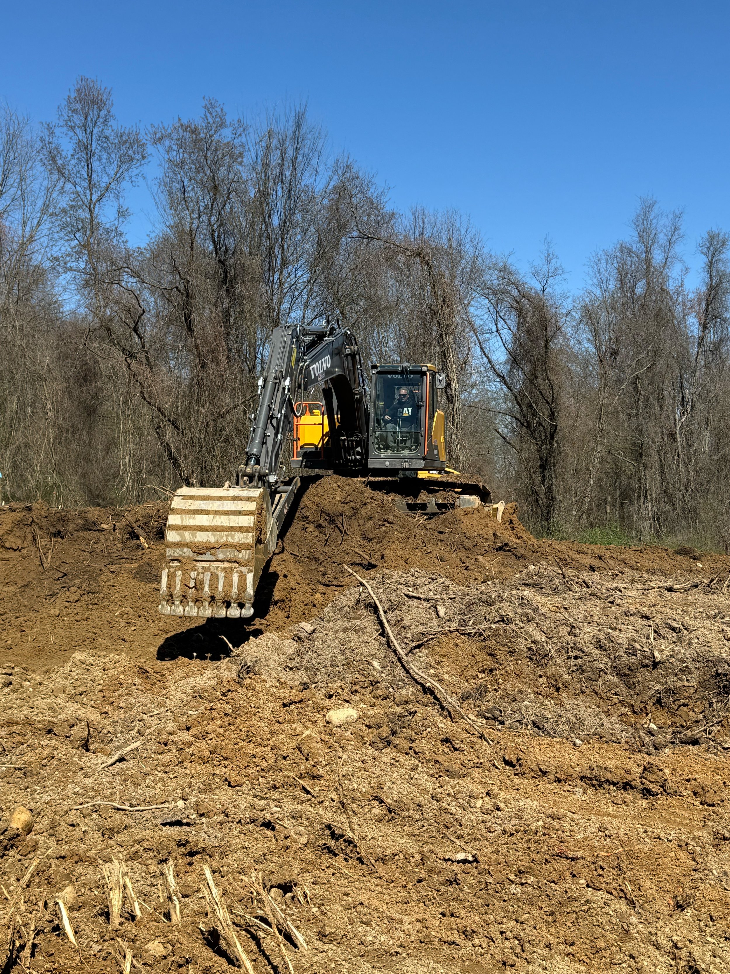 A black and yellow excavator with a digging arm on a dirt mound in a forested area with leafless trees under a clear blue sky.