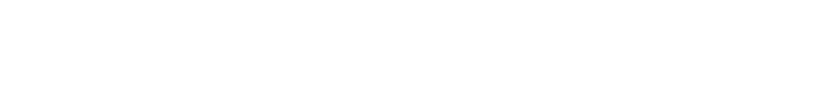 EverRise Cleaning 