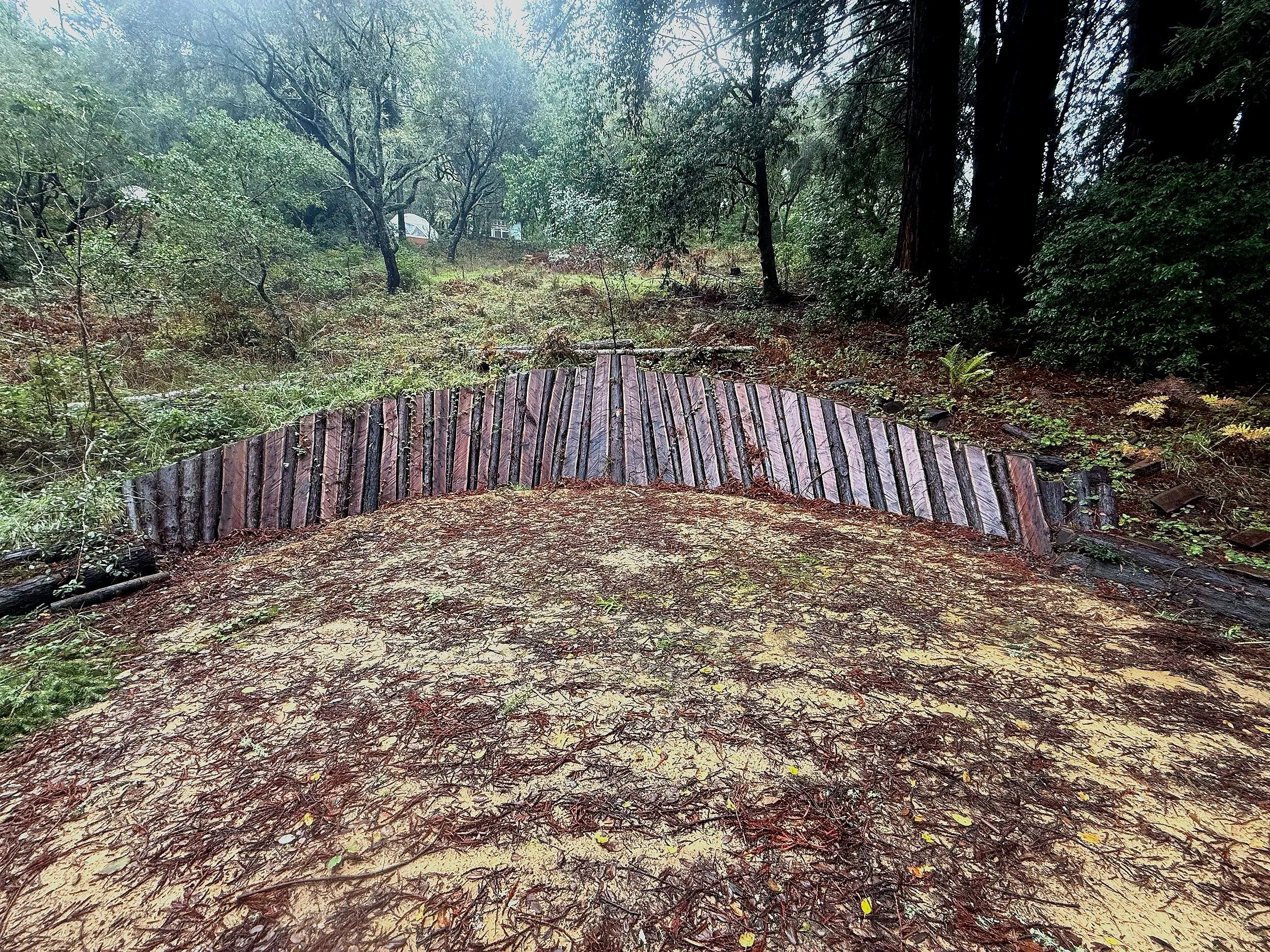 A wide wooden bridge in a forest, surrounded by green trees and fallen leaves.