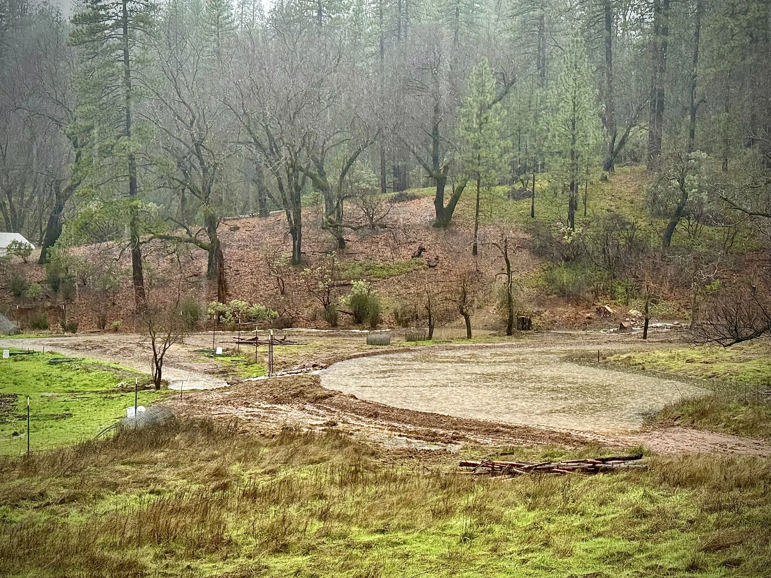A landscape with a wooded hillside, sparse trees, and patches of green grass. The ground appears muddy or disturbed, with some logs and small structures at the bottom. A small white structure is visible on the left side among the trees.