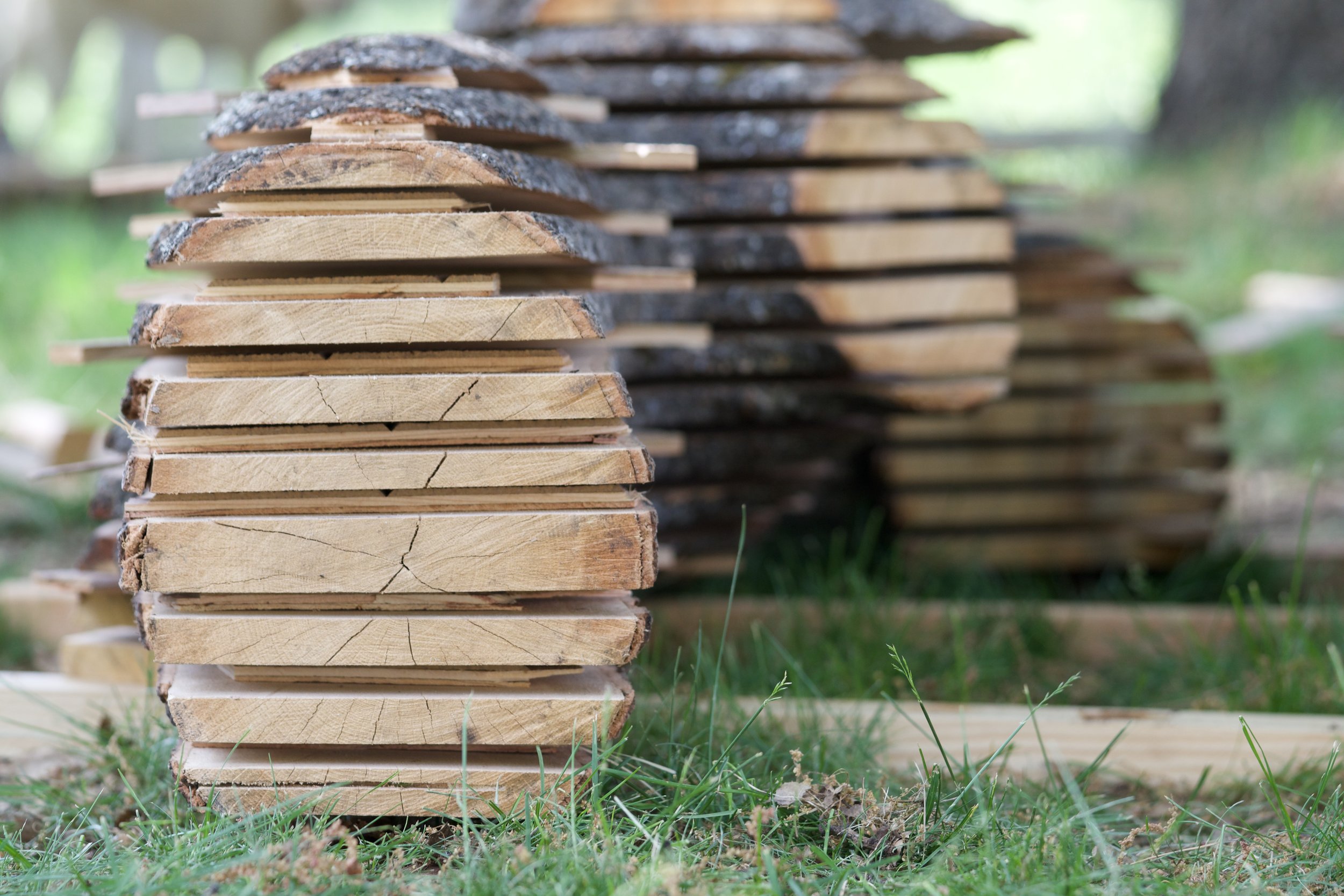 Stacked cut wood logs outdoors with grass and blurred greenery in the background.