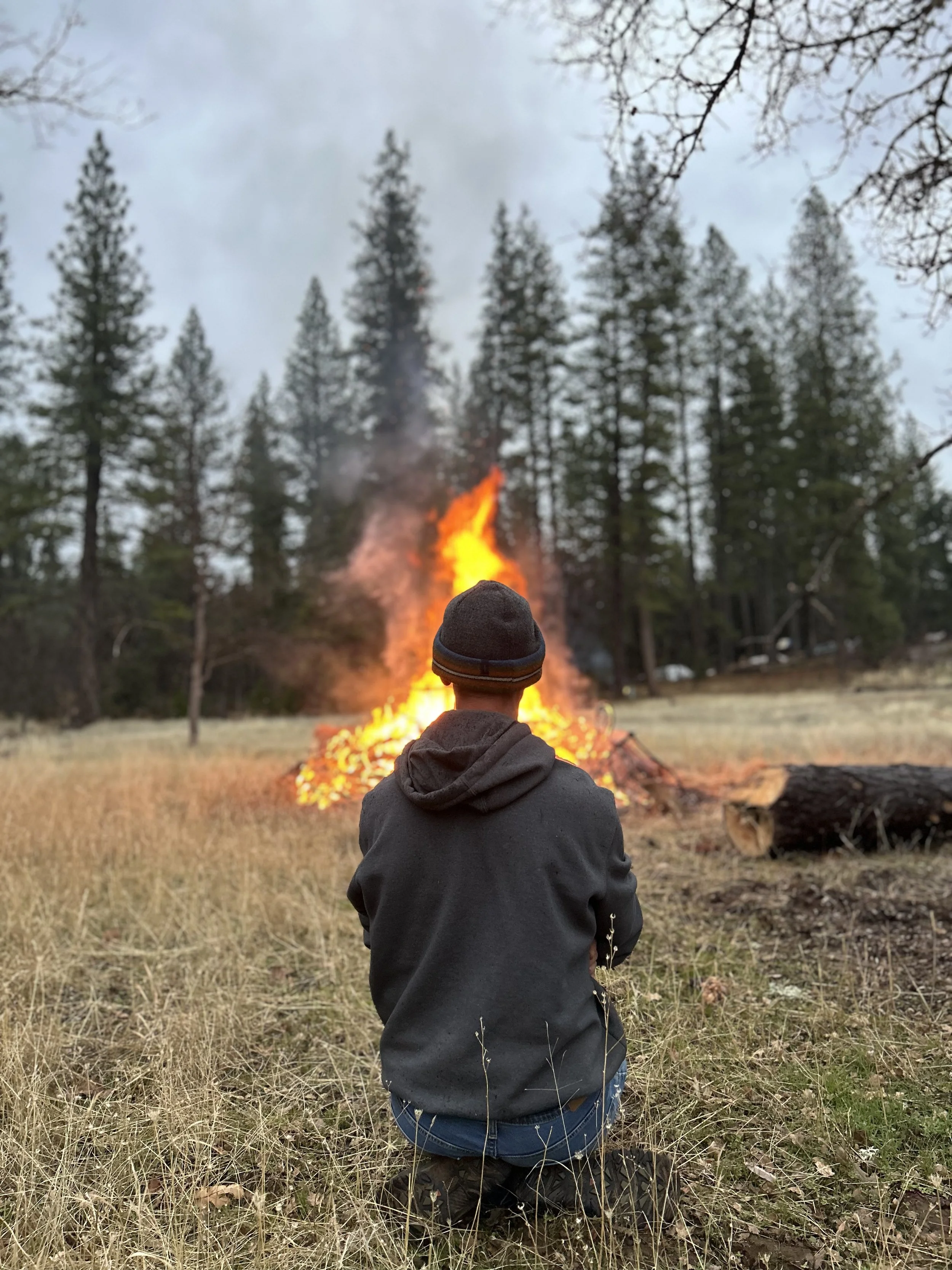 A person wearing a black jacket and jeans kneeling in a grassy field, observing a large campfire burning among tall trees in the woods.