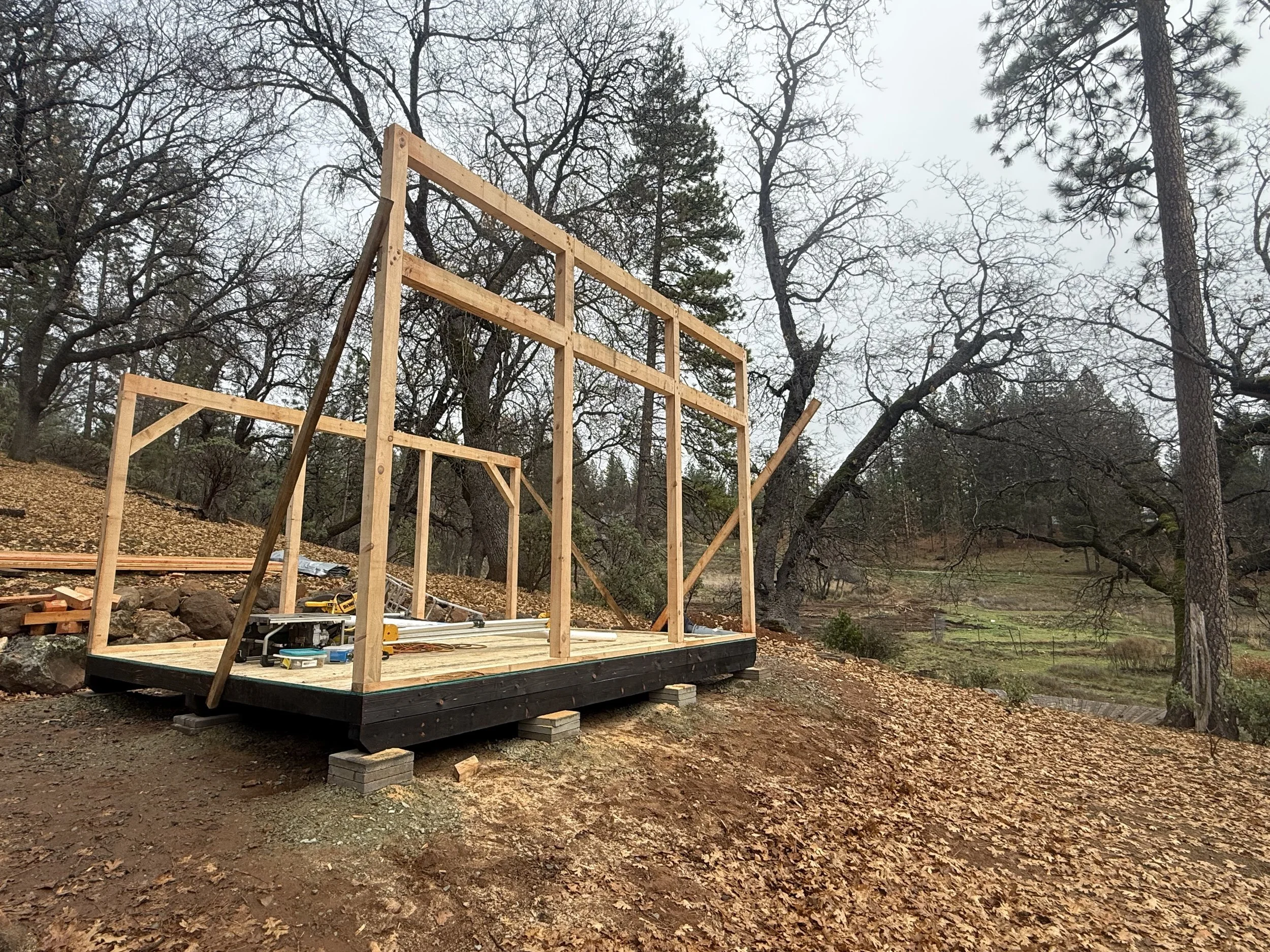 Construction site with a wooden framework built on a black platform, surrounded by trees with autumn leaves scattered on the ground.