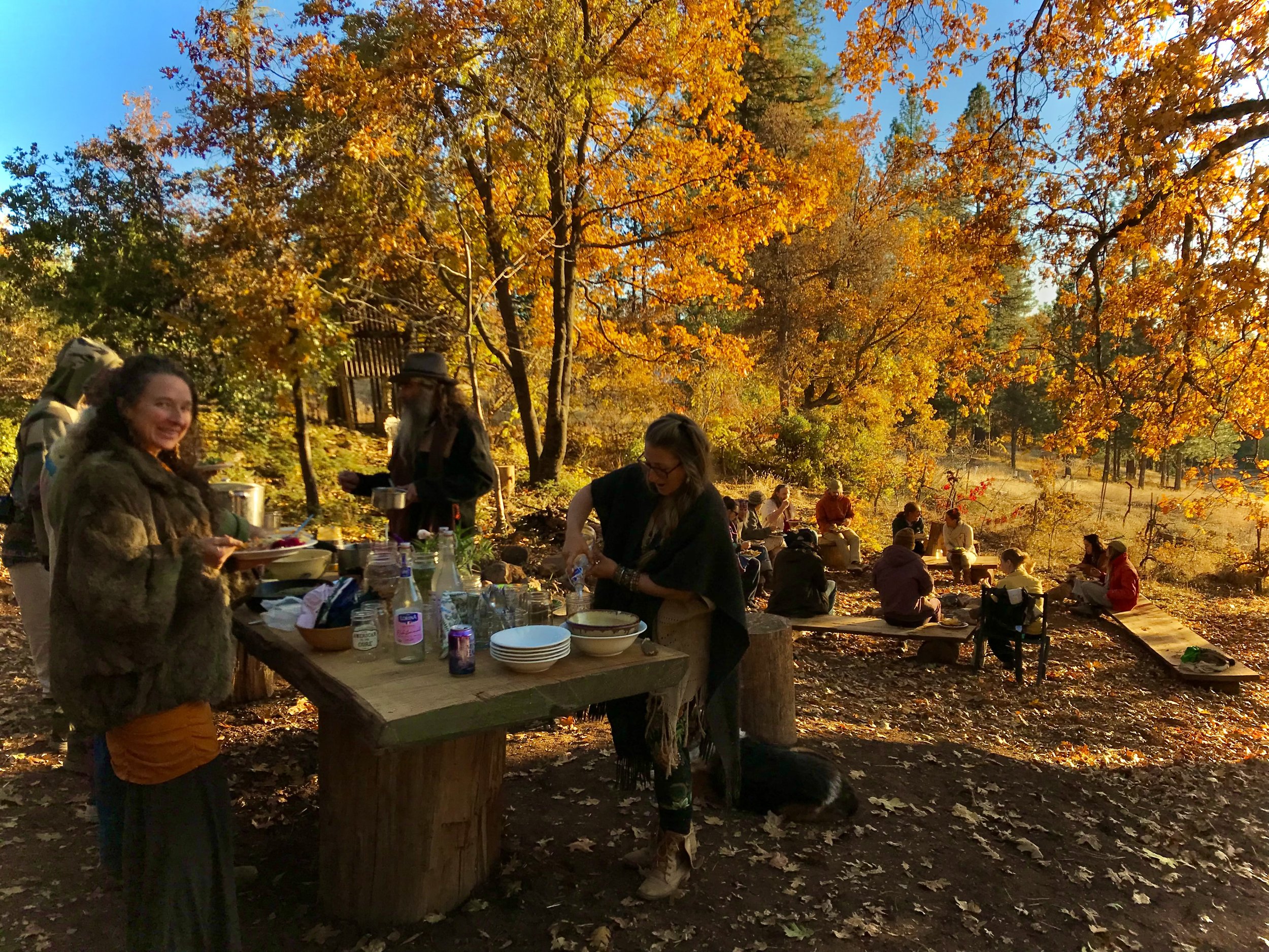 People enjoying an outdoor gathering or party during autumn, with vibrant orange and yellow leaves on trees in a park setting