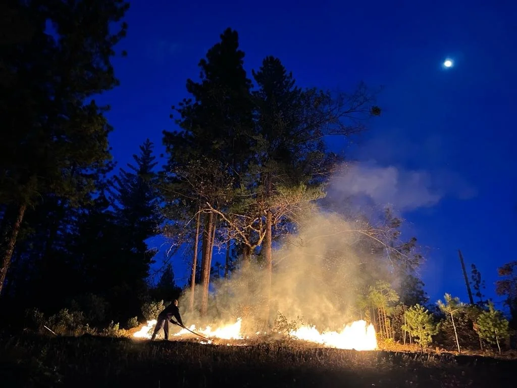 A person fighting a grass fire in a forested area at night, with the moon visible in the sky and tall trees surrounding the scene.