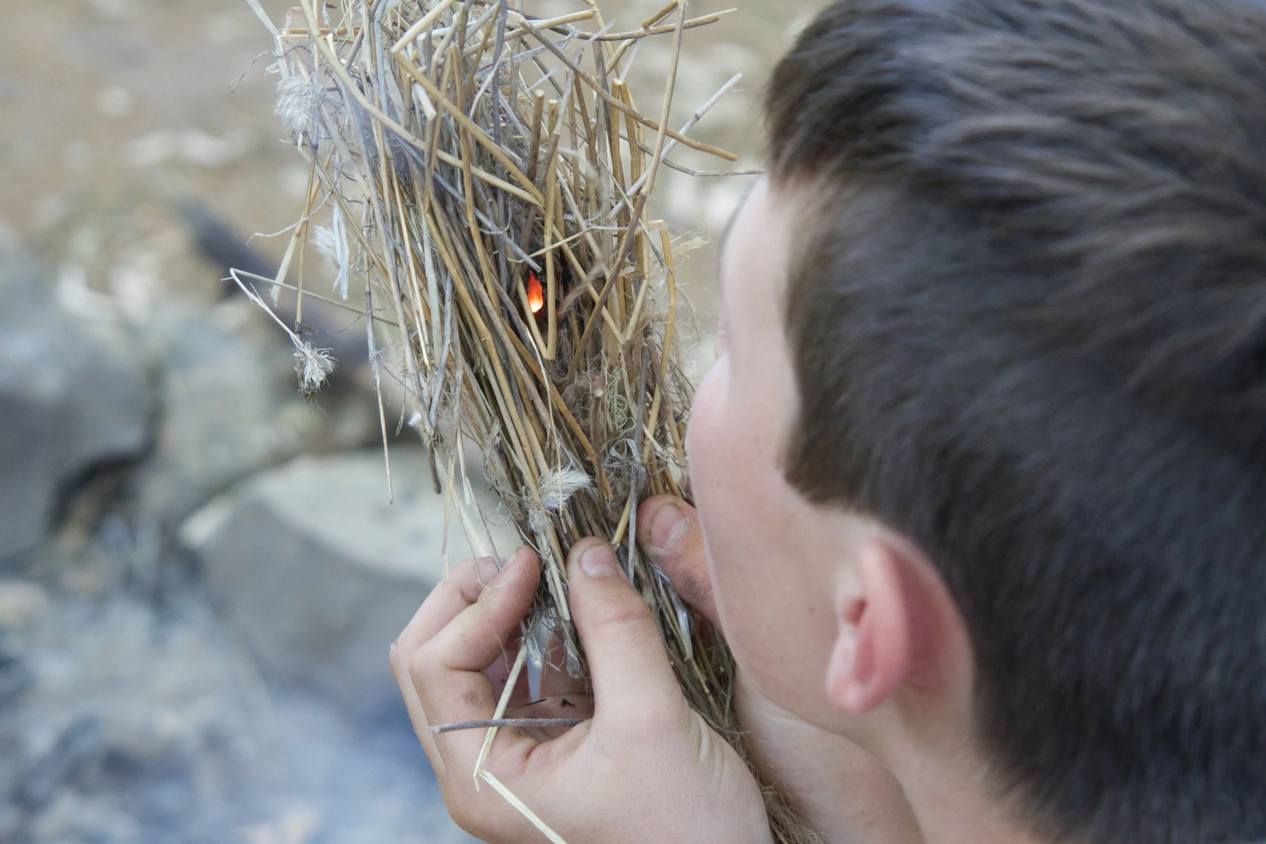 A person with brown hair and light skin faces a bird's nest made of twigs, holding it close to their face and looking into it.