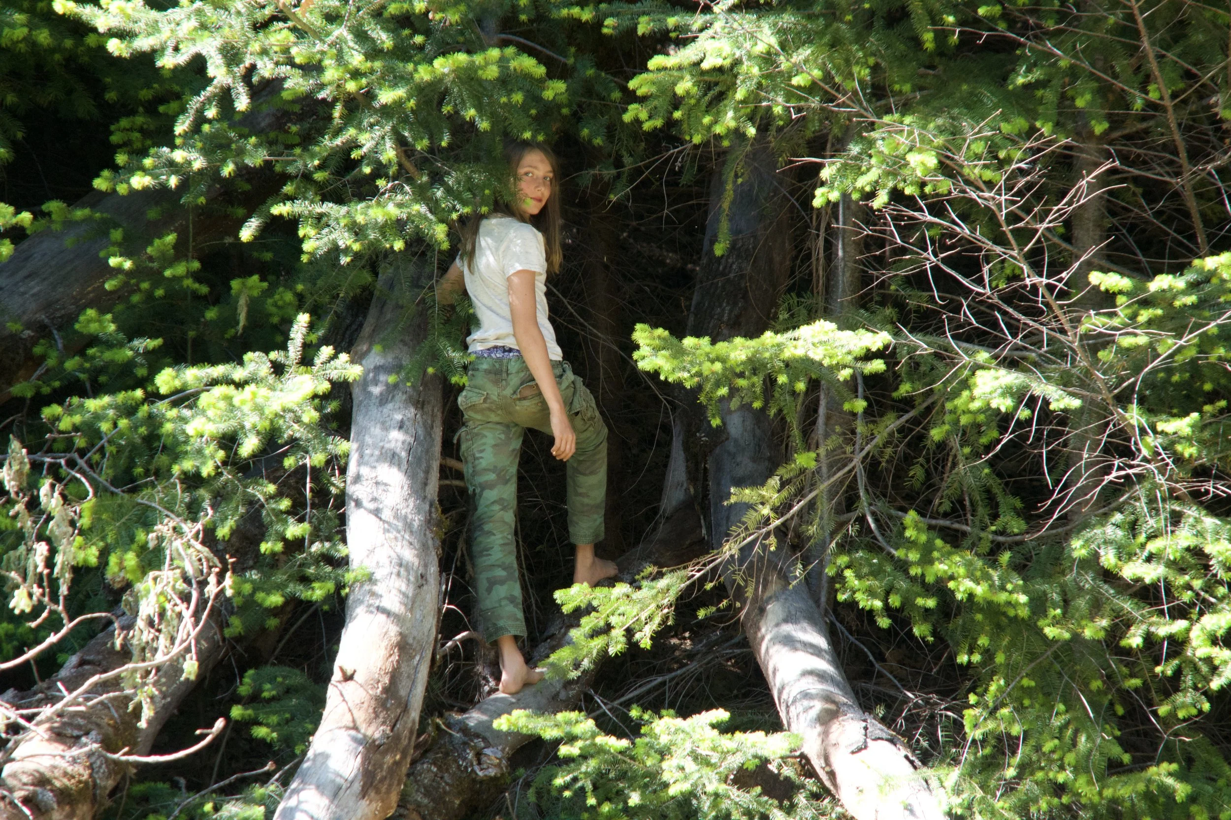 A young girl with long brown hair, wearing a white shirt and camouflage pants, barefoot, standing among green pine trees and branches in a forest, looking towards the camera.