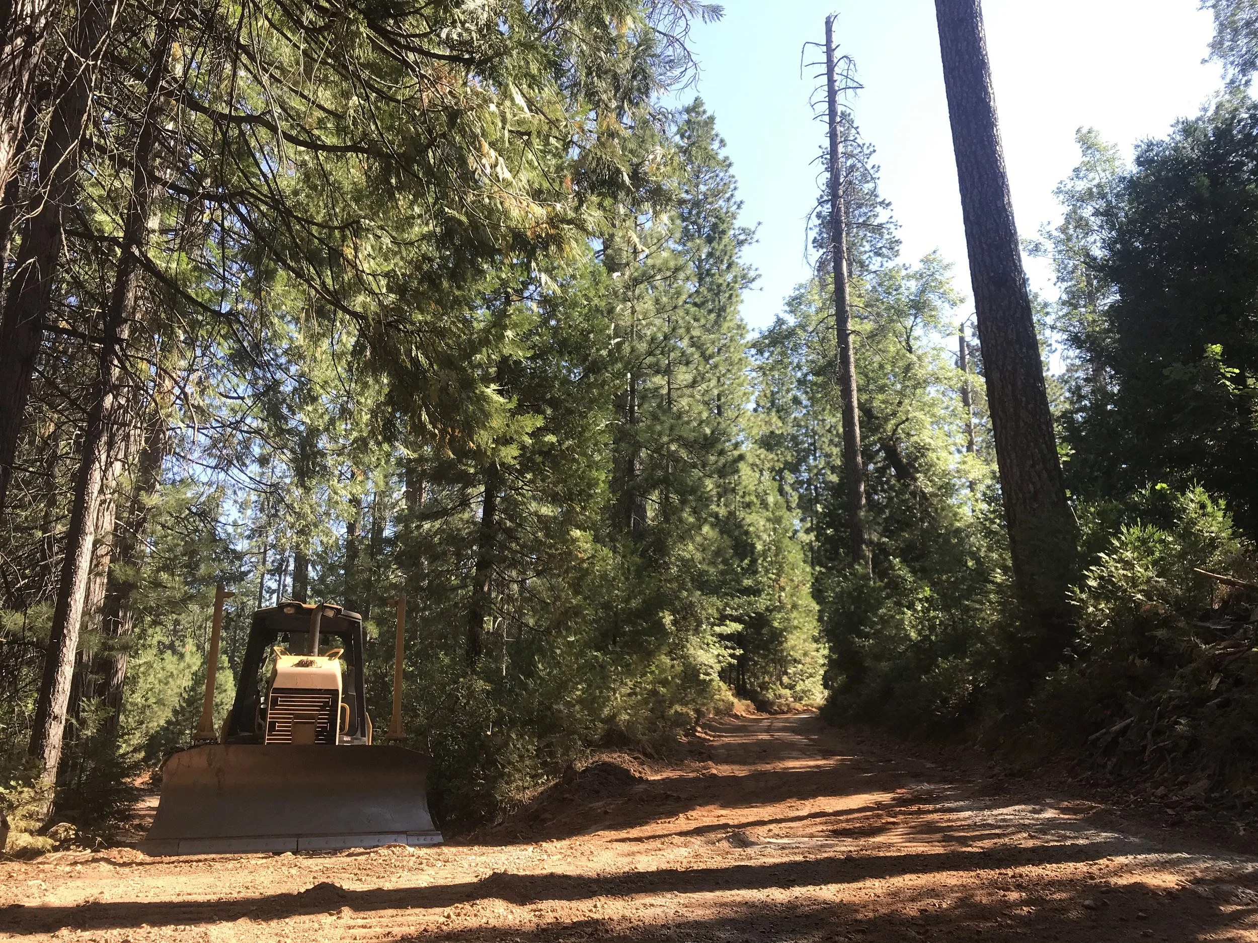 A forest scene with tall trees and a dirt road. Part of a construction vehicle or equipment is visible at the bottom of the image.
