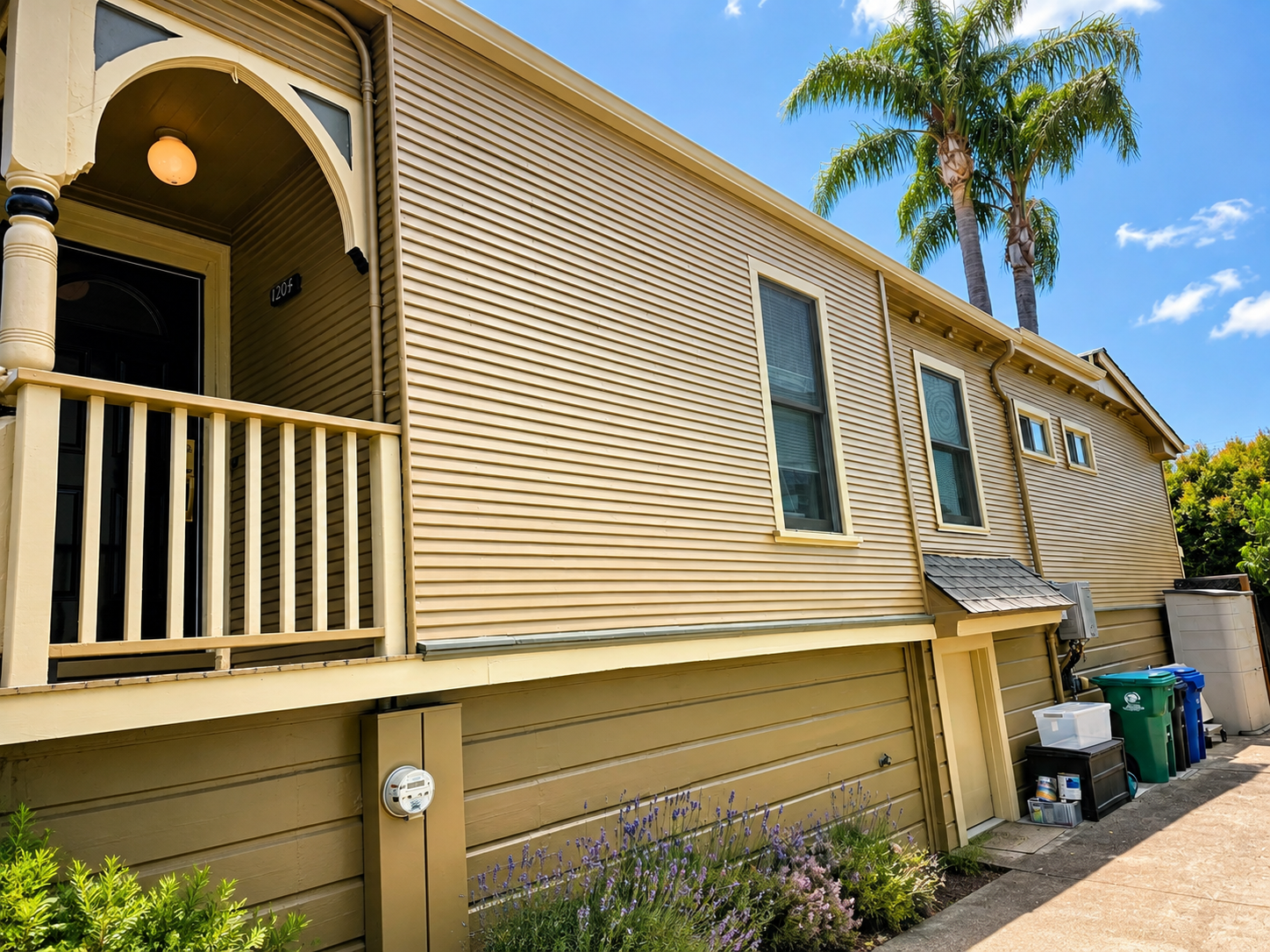 Sunny Beige Home Entrance with Palm Trees.png