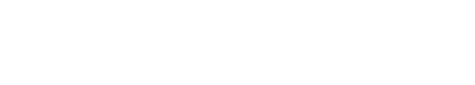 Logo with the words "Sheldon & Fiona" in white text on a black background.