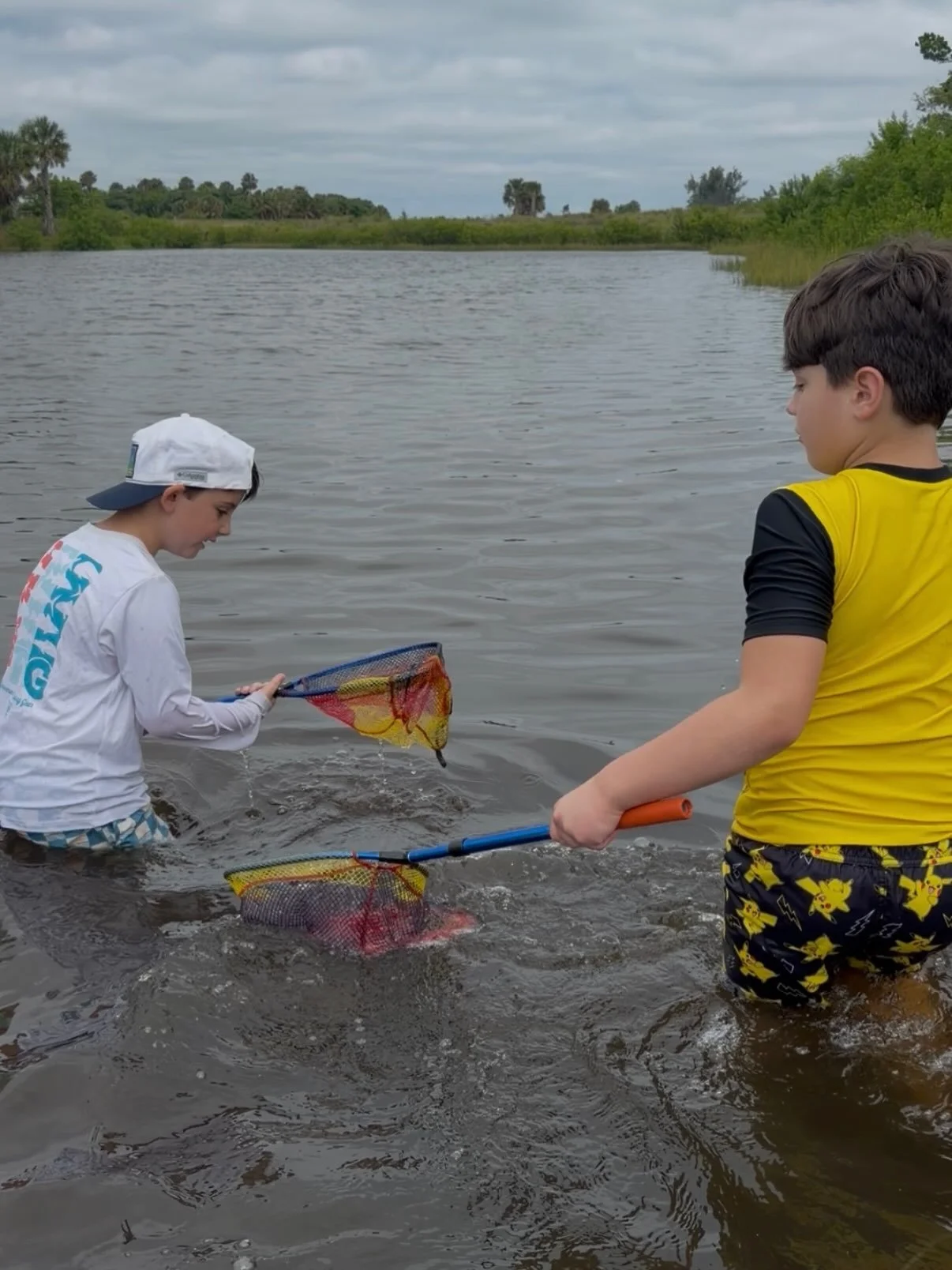 Today&rsquo;s dip netting adventure was such a fun way to explore a different ecosystem! 🌿 The brackish water and muddy ground was a unique, and wild 😅, experience. We found snails, a crab, egg sacs, and there were lots of fish jumping nearby. 🐌 ?