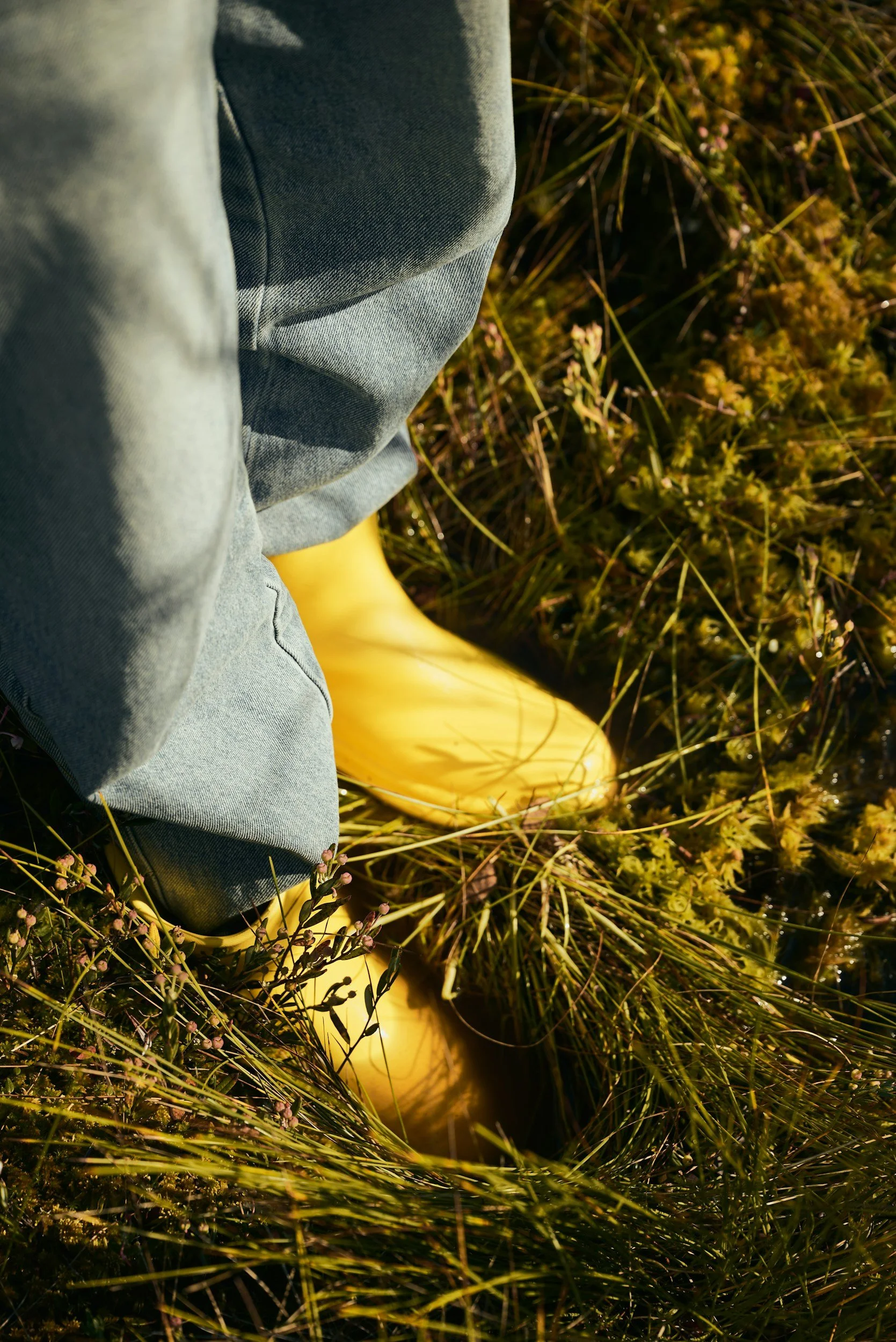 Part of a person wearing grey jeans and yellow rain boots standing in a marshy area surrounded by grass and small plants.