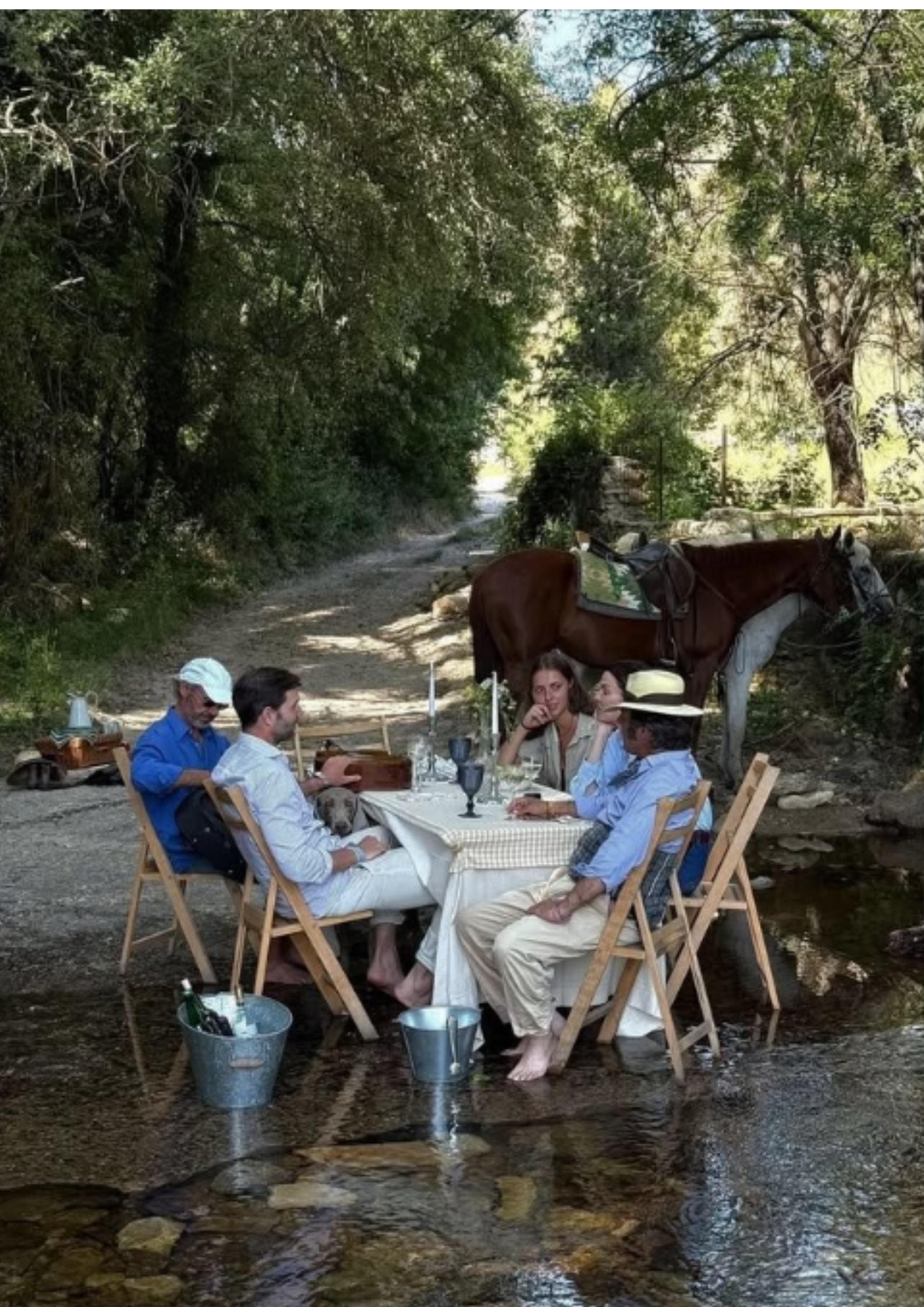 A group of people having a meal outdoors by a stream, with trees and a horse in the background.