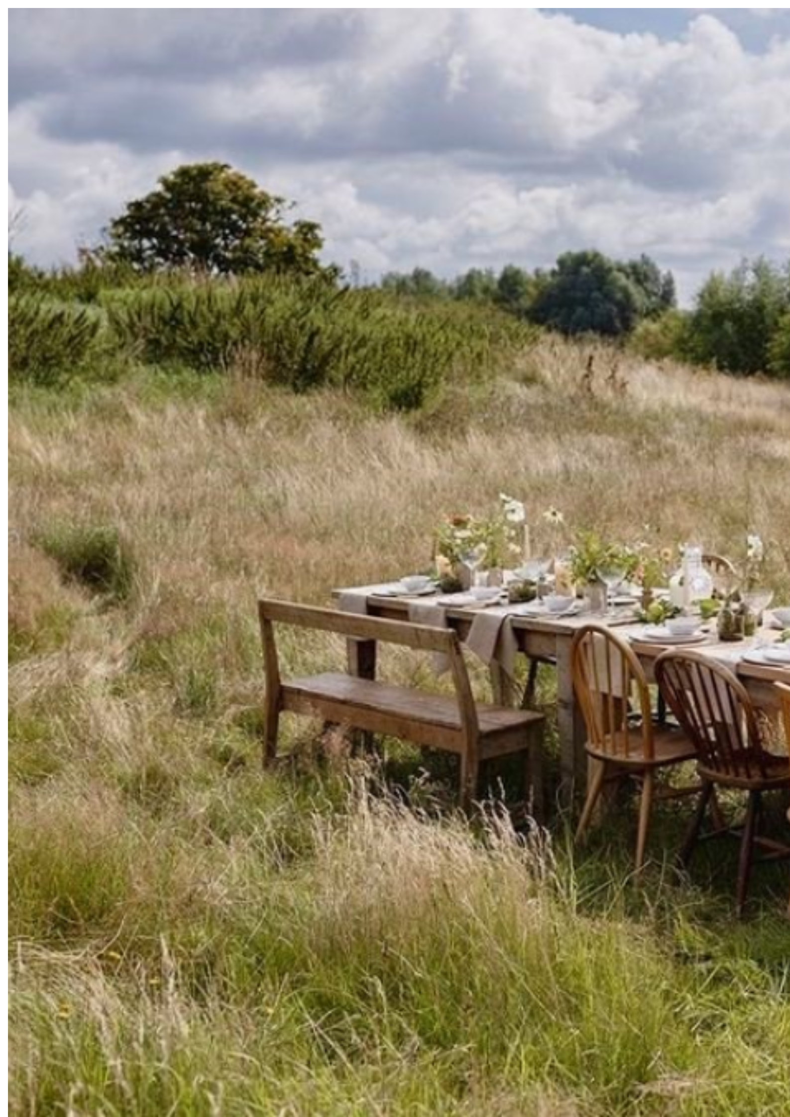 A rustic outdoor dining table set up in a grassy field with tall grass in the foreground, trees and clouds in the background.