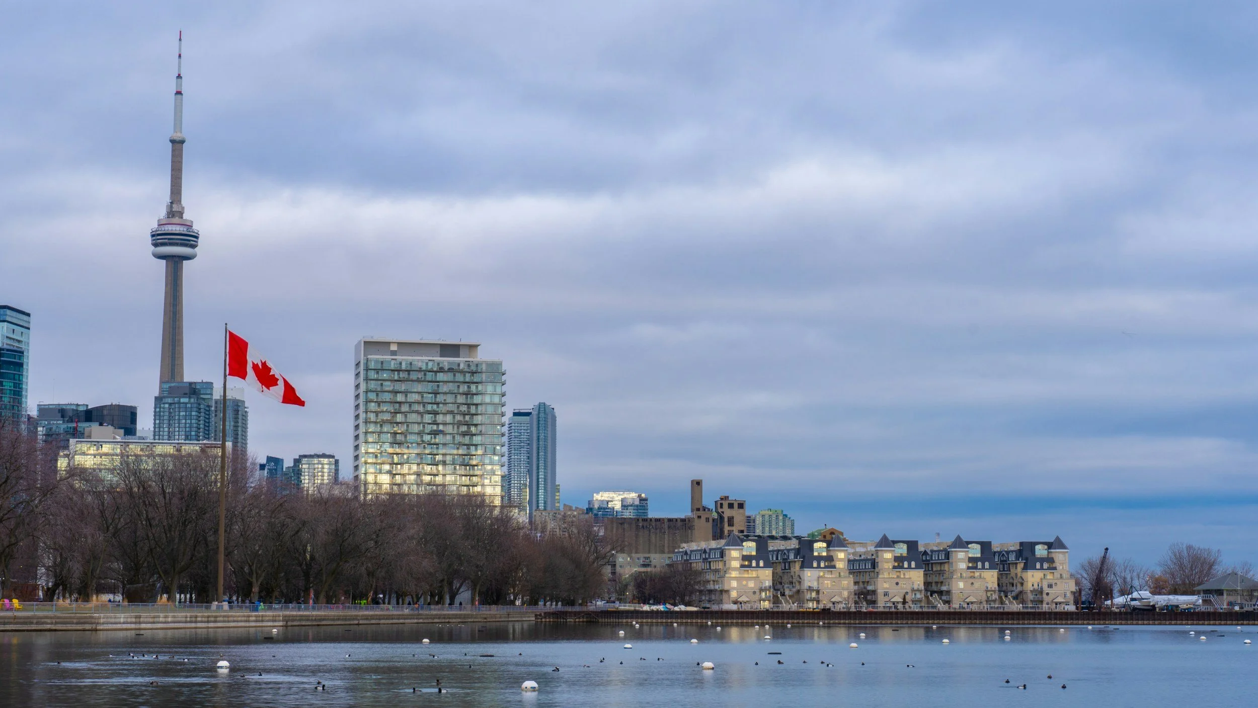 View of Toronto skyline including the CN Tower, with Canadian flags flying over a park area and a body of water with ducks in the foreground.