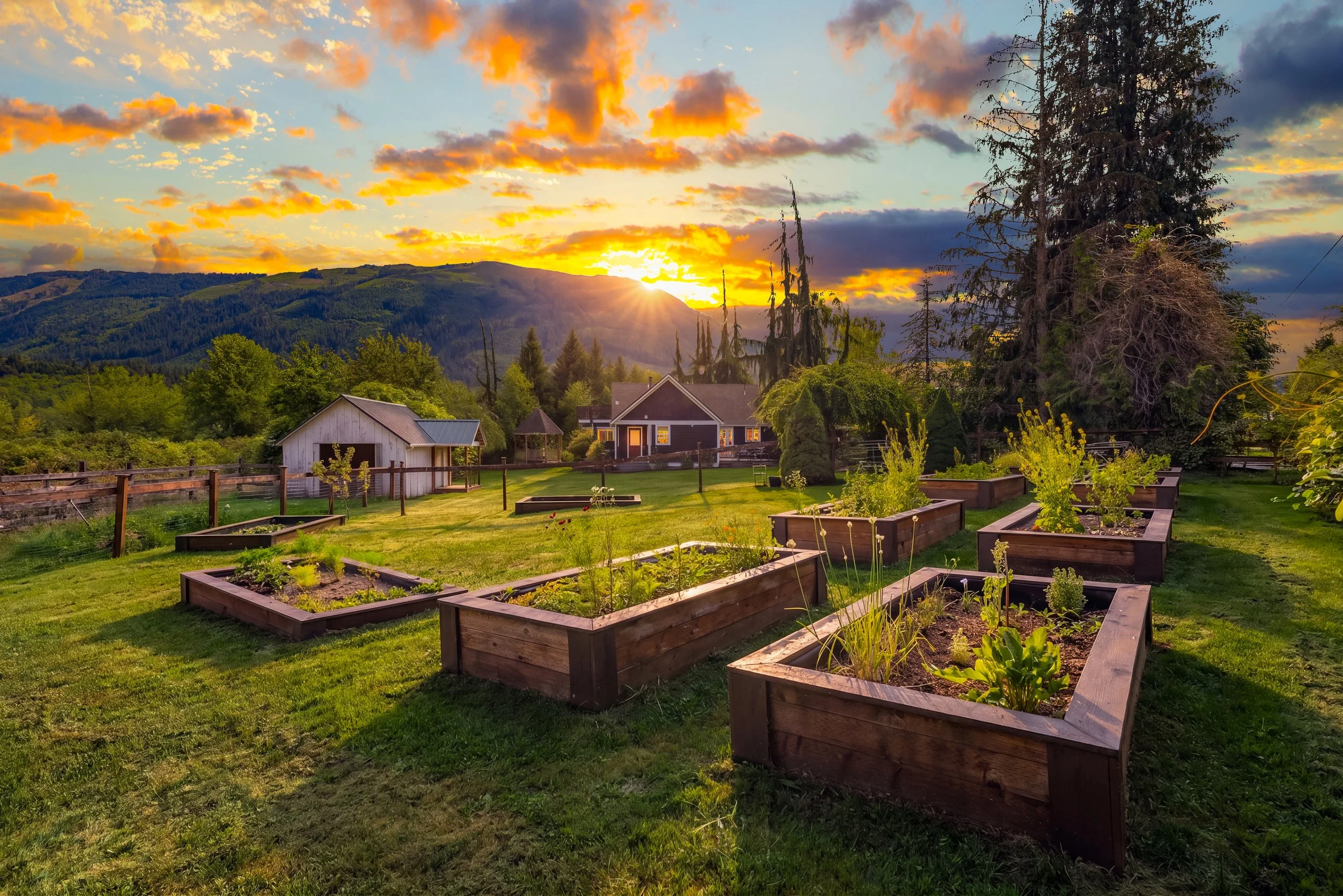 THE FARM - TWILIGHT (2).jpg