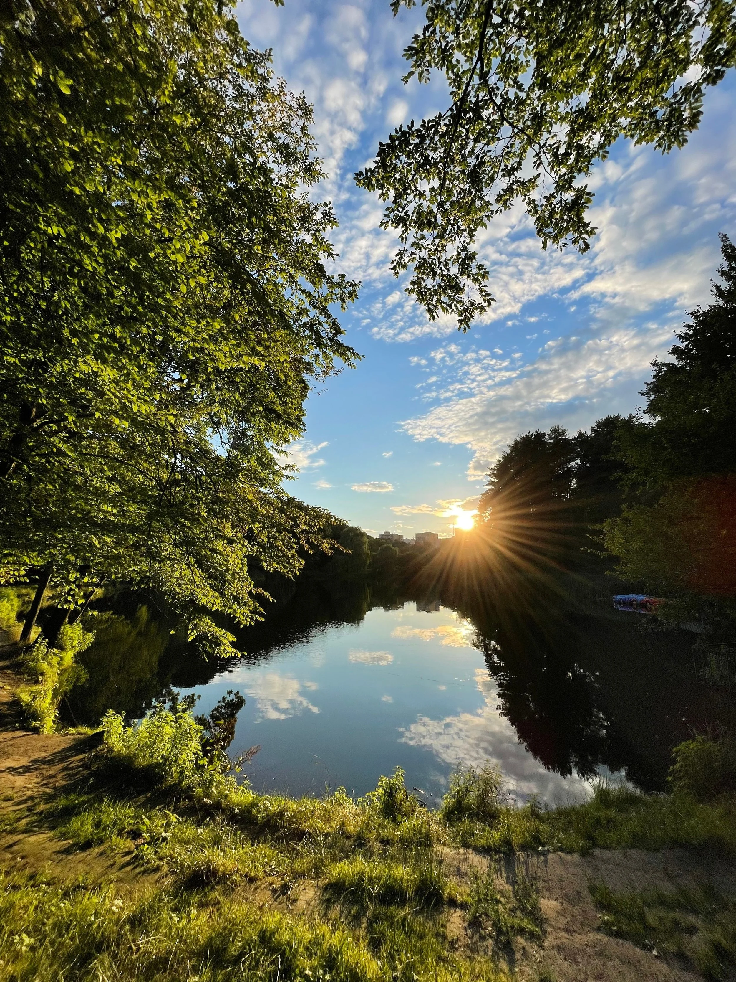 Sunlight over a peaceful lake representing reflection and life in recovery