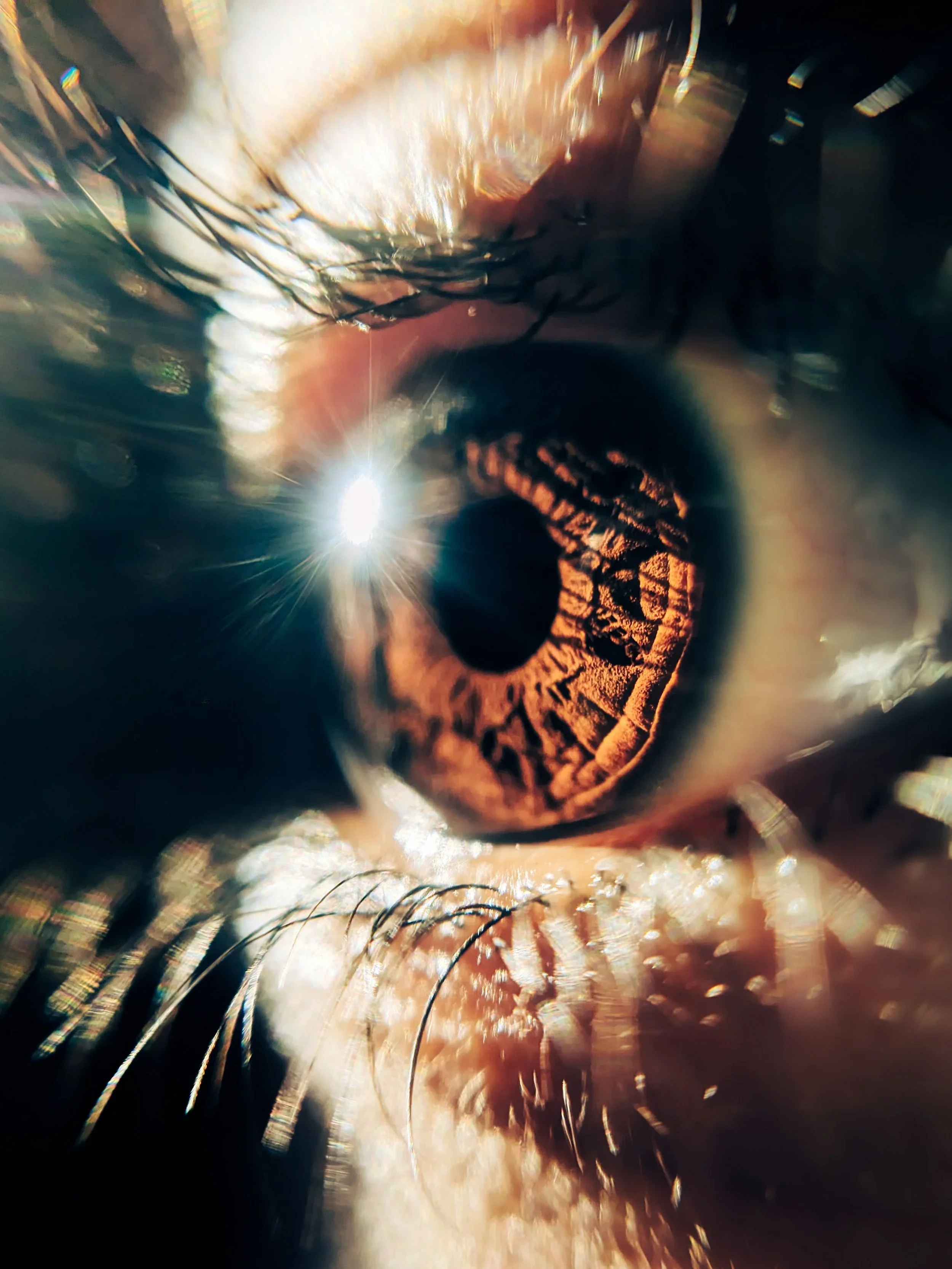 Close-up of an eye reflecting light, representing the inspiration behind Wildlight Counseling