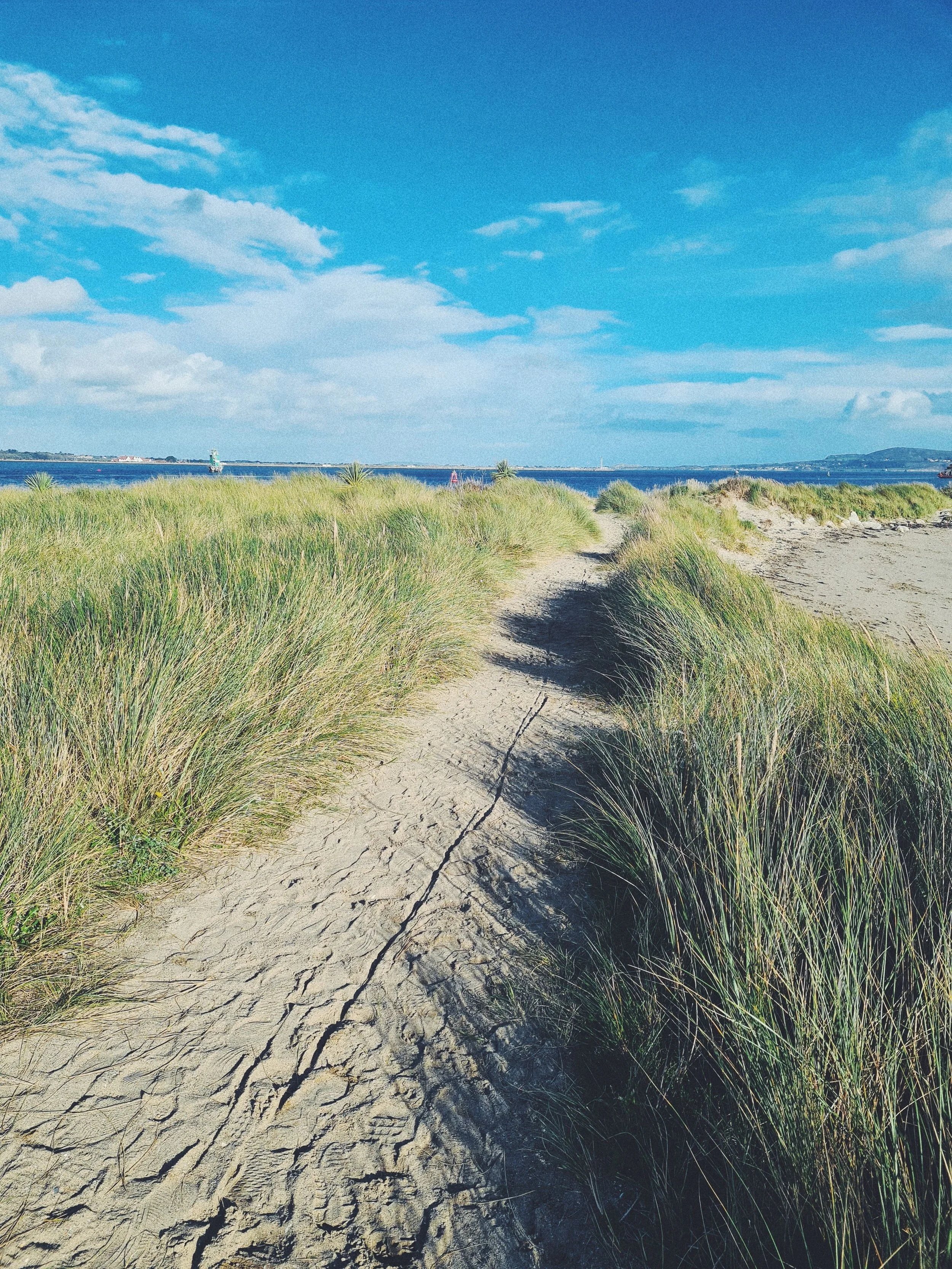 Sandy path through coastal dunes leading toward the ocean