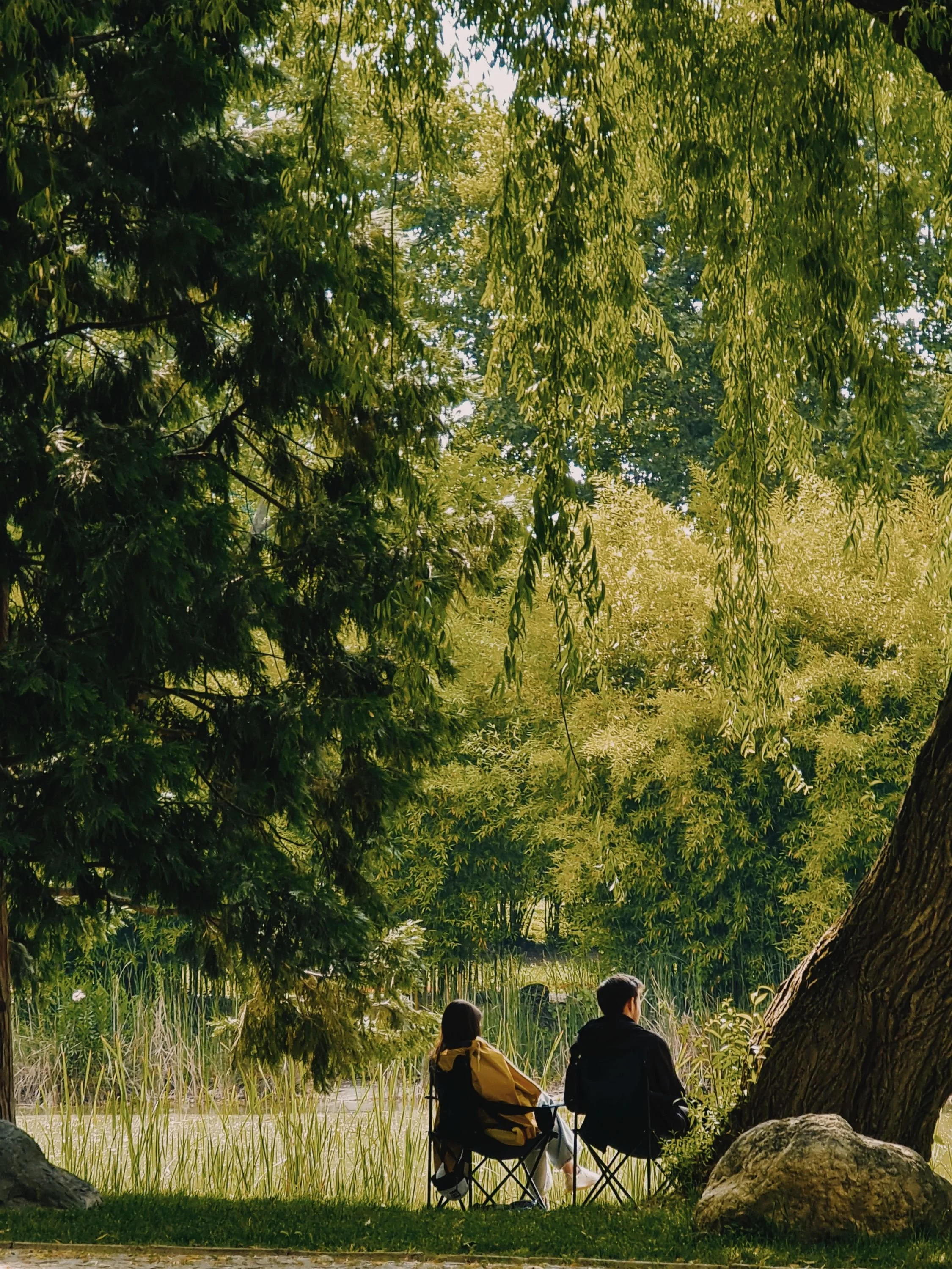 Two people sitting on camping chairs under a large tree near a pond with tall grass in Carlsbad, California.