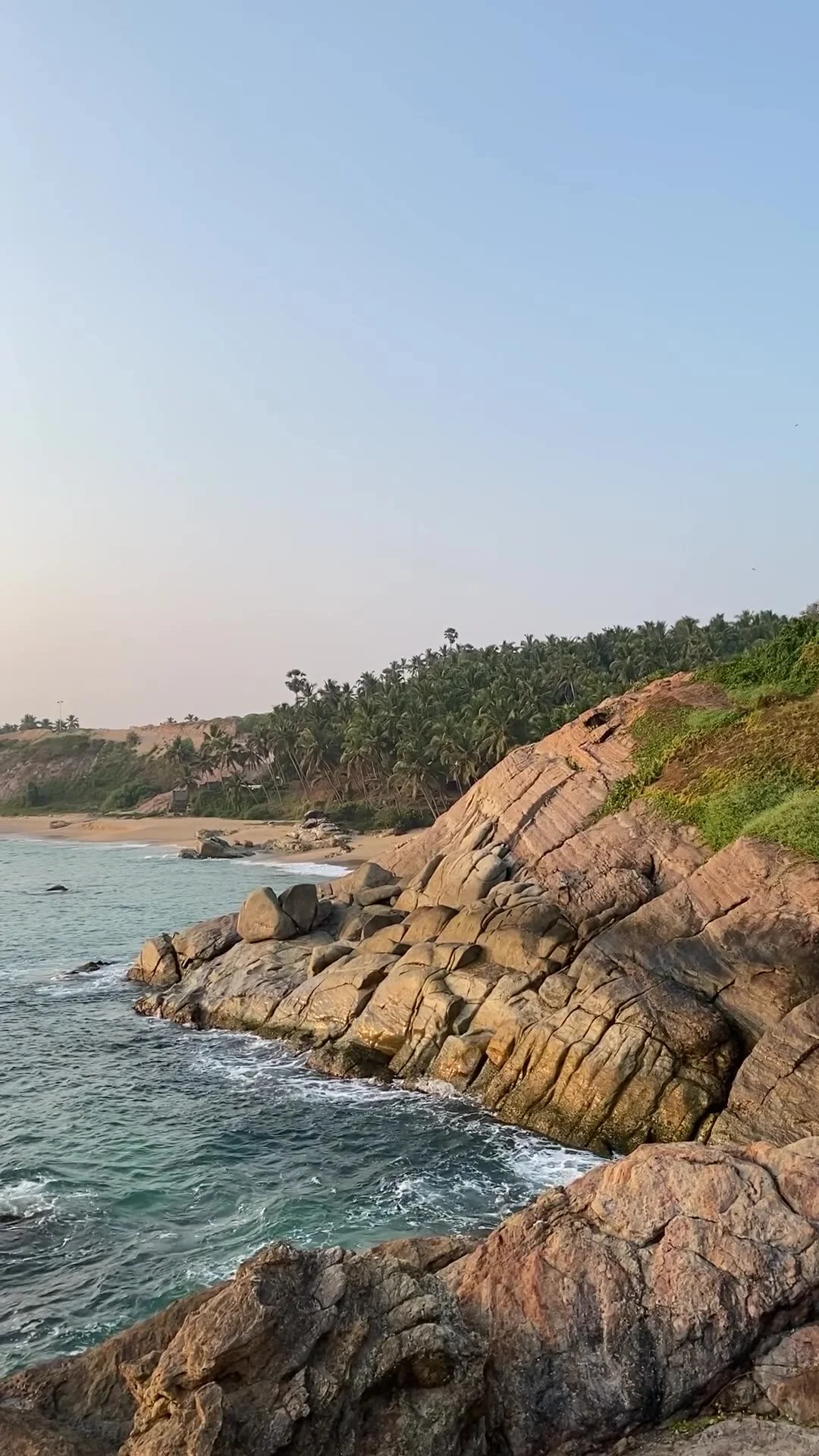 Wildlight_Coastal_Mobile_Fallback.jpeg