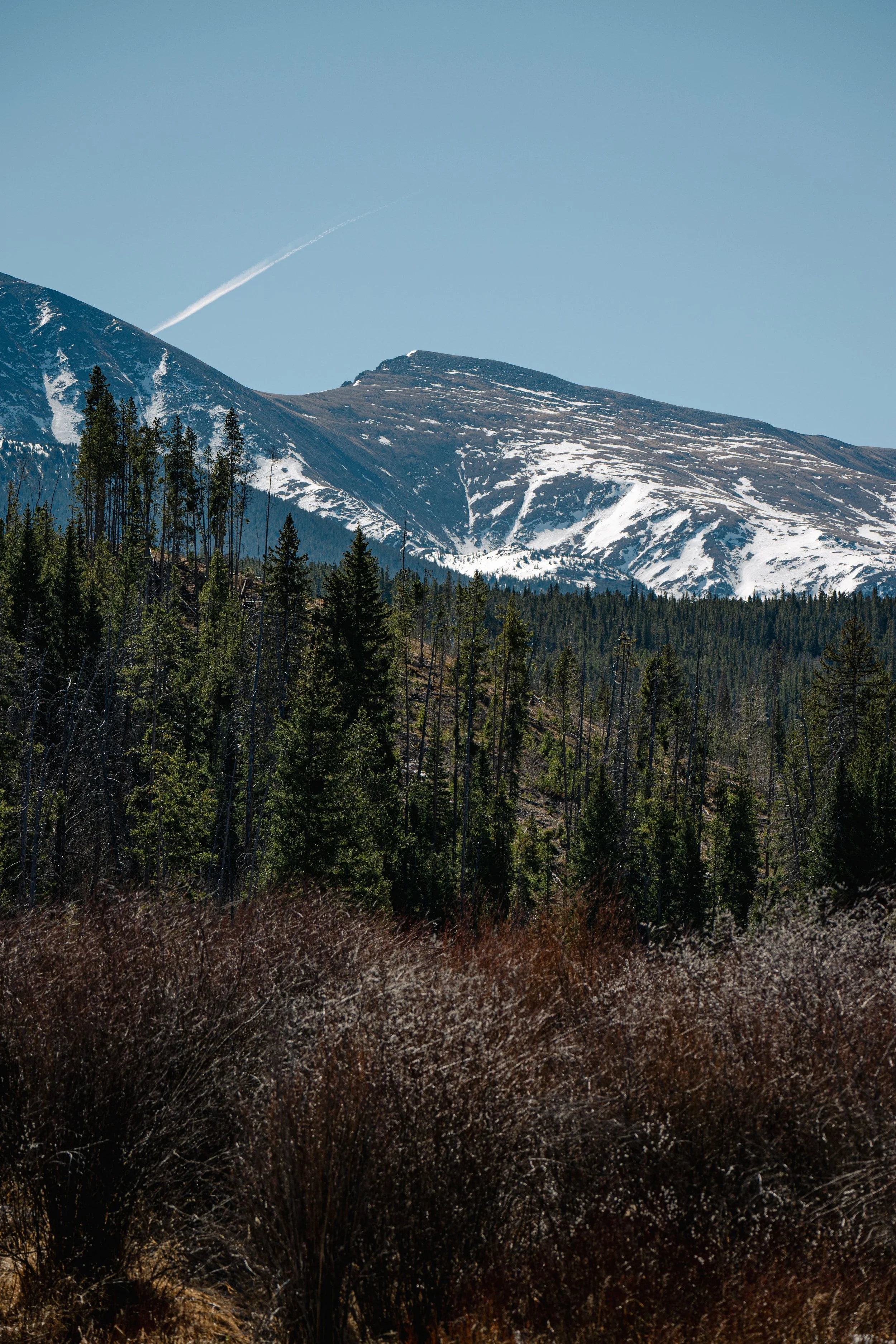 Snow-covered mountains and evergreen forest in Colorado
