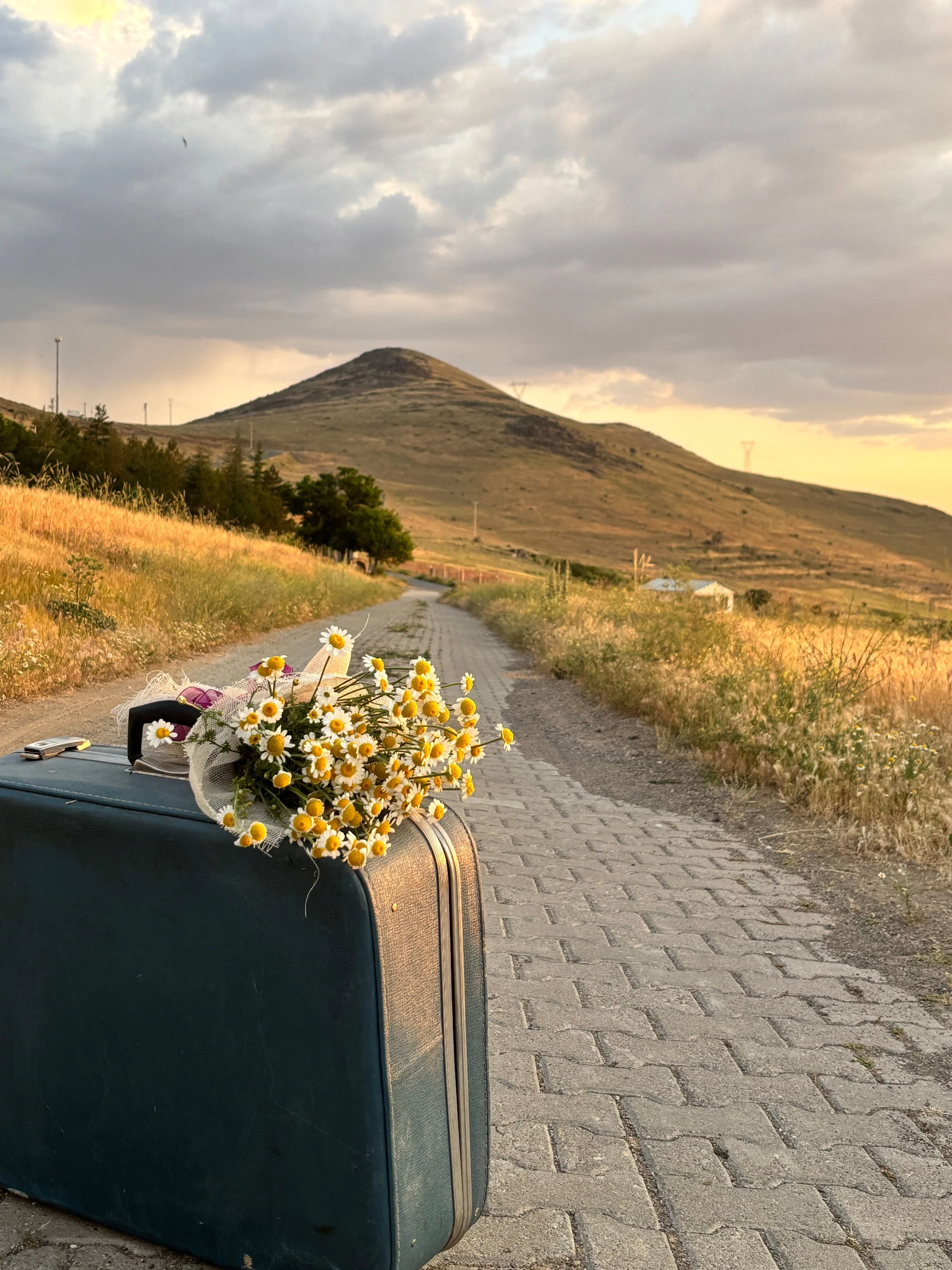 Suitcase and flowers beside an open road representing life transitions and new beginnings