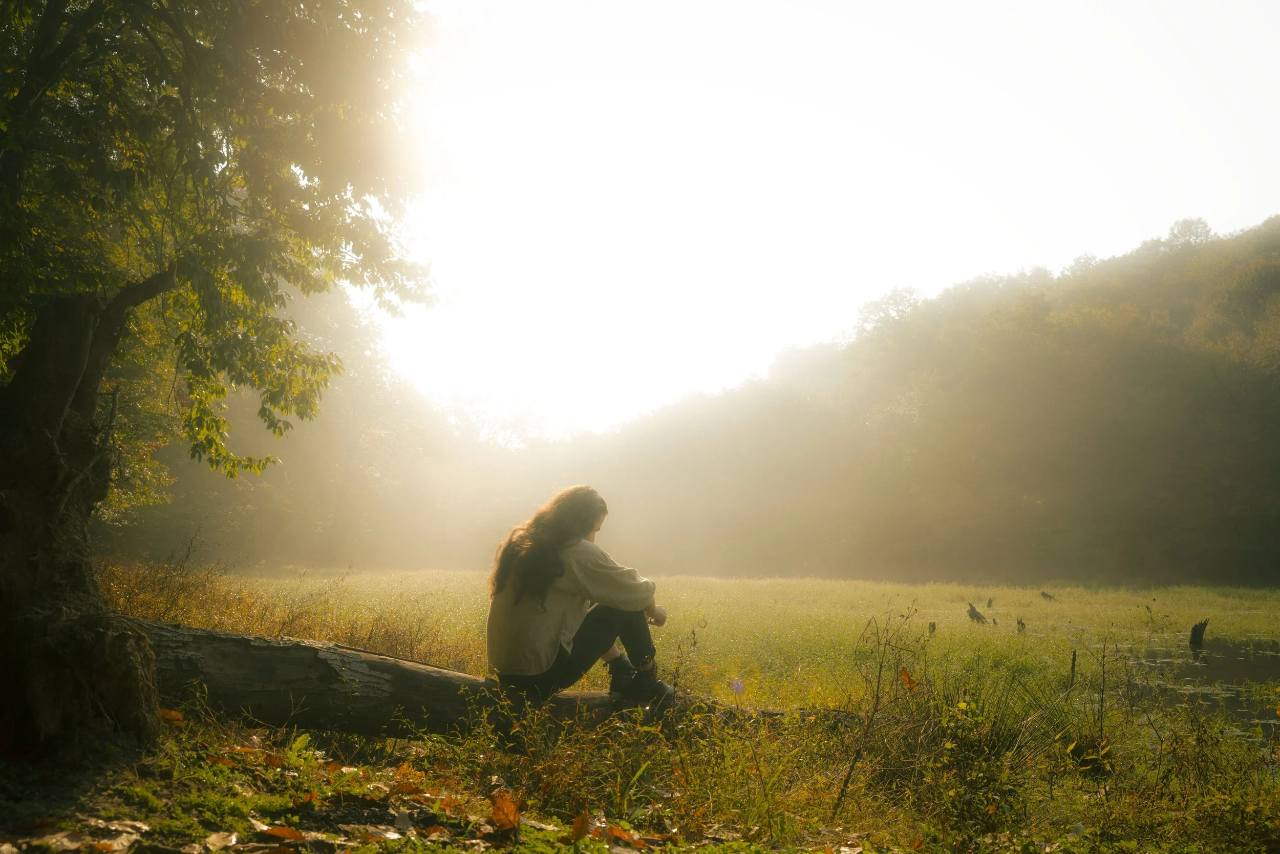 Person sitting quietly in a field reflecting during a major life transition