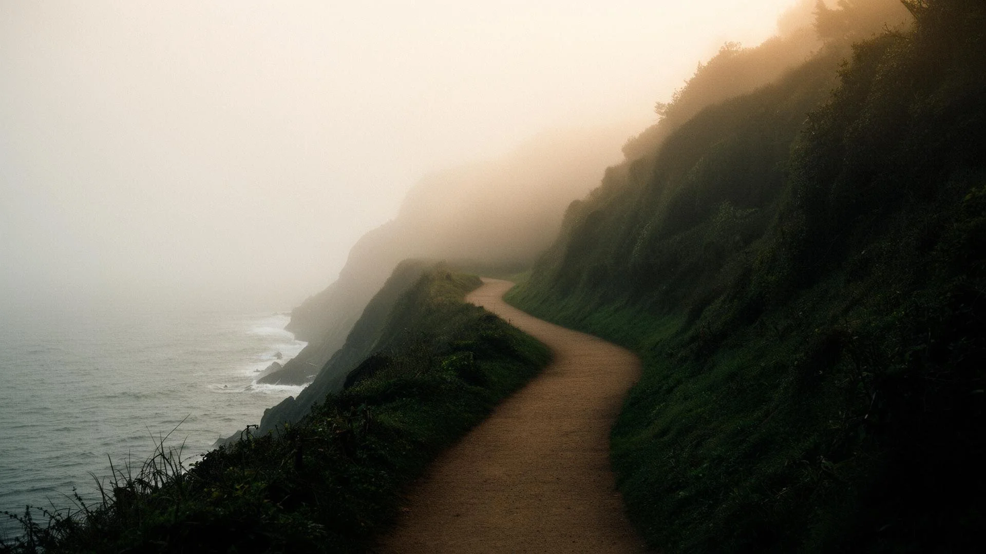 A winding dirt trail along a steep grassy hillside with trees, shrouded in fog, overlooking the ocean.