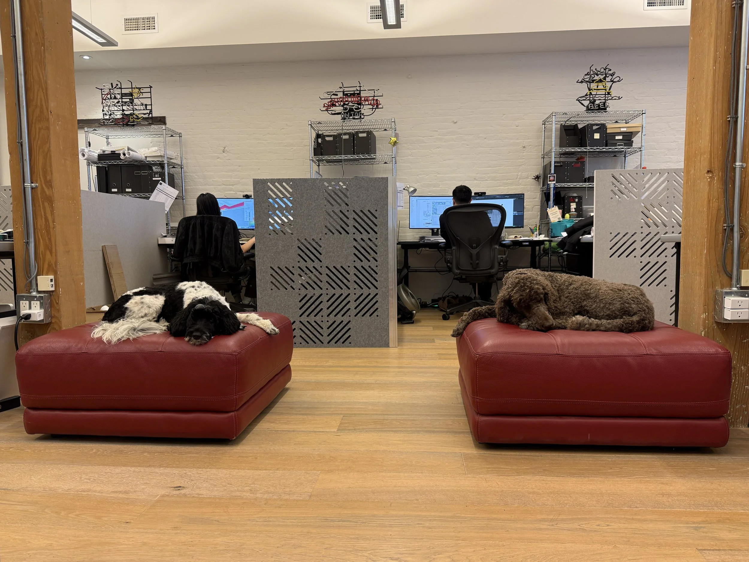 Office space with two dog beds on red couches with two dogs resting on them, partition panels, desks with computers, filing shelves, and workers working at their desks.