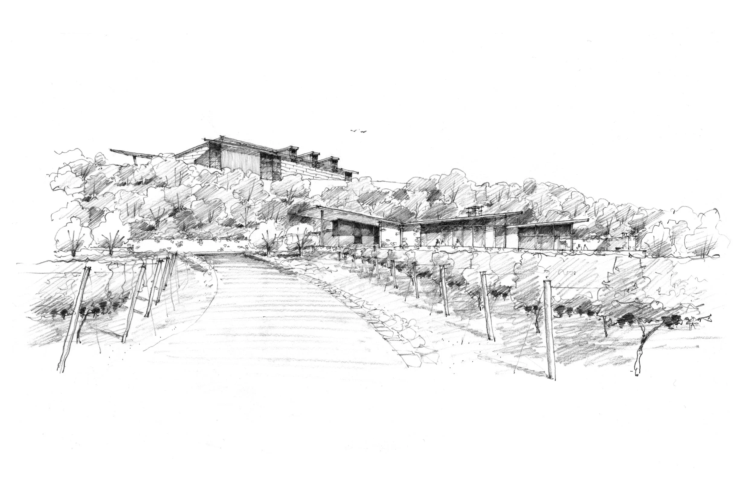 A detailed sketch of a winery by Tom Taylor.
