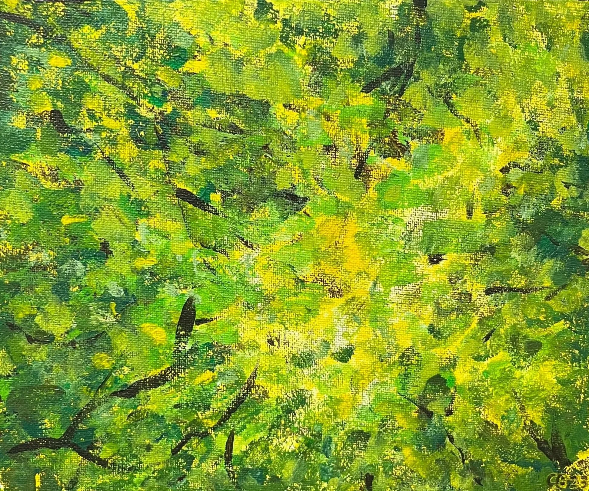 Sunlight (2023): Acrylic on canvas