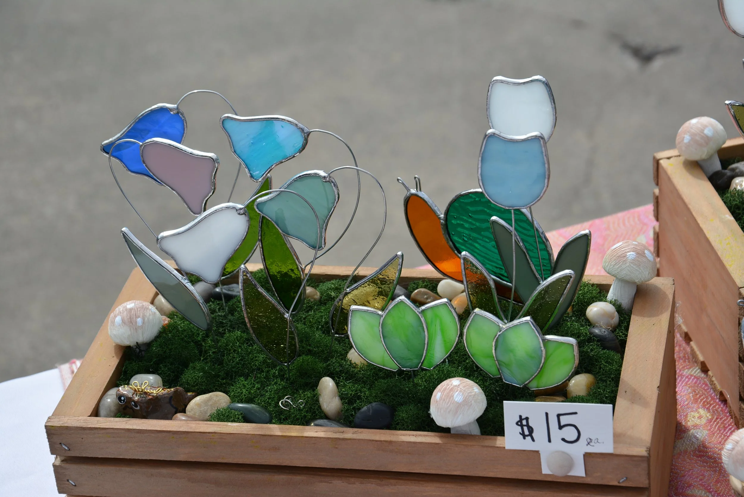 DSC_8885.JPG