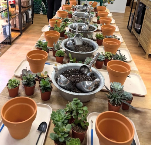 Gardening 101 Education