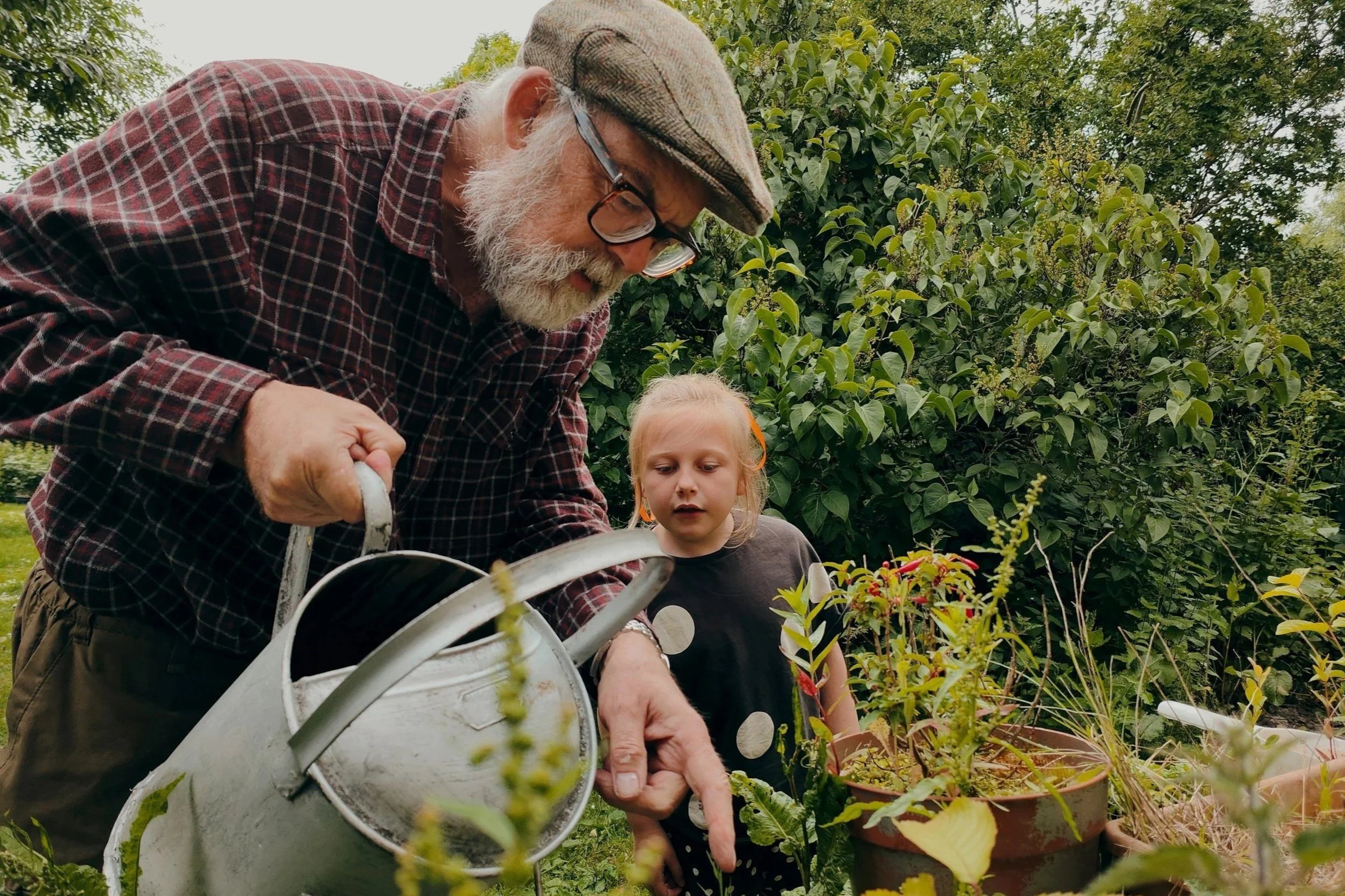 An elderly man with white hair, a beard, glasses, and a plaid shirt waters plants in a garden while a young girl points at the plants.