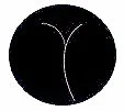 Close-up of a black circular object with a thin white line or shape.