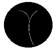 A black circle with a white Z shaped line crossing it.