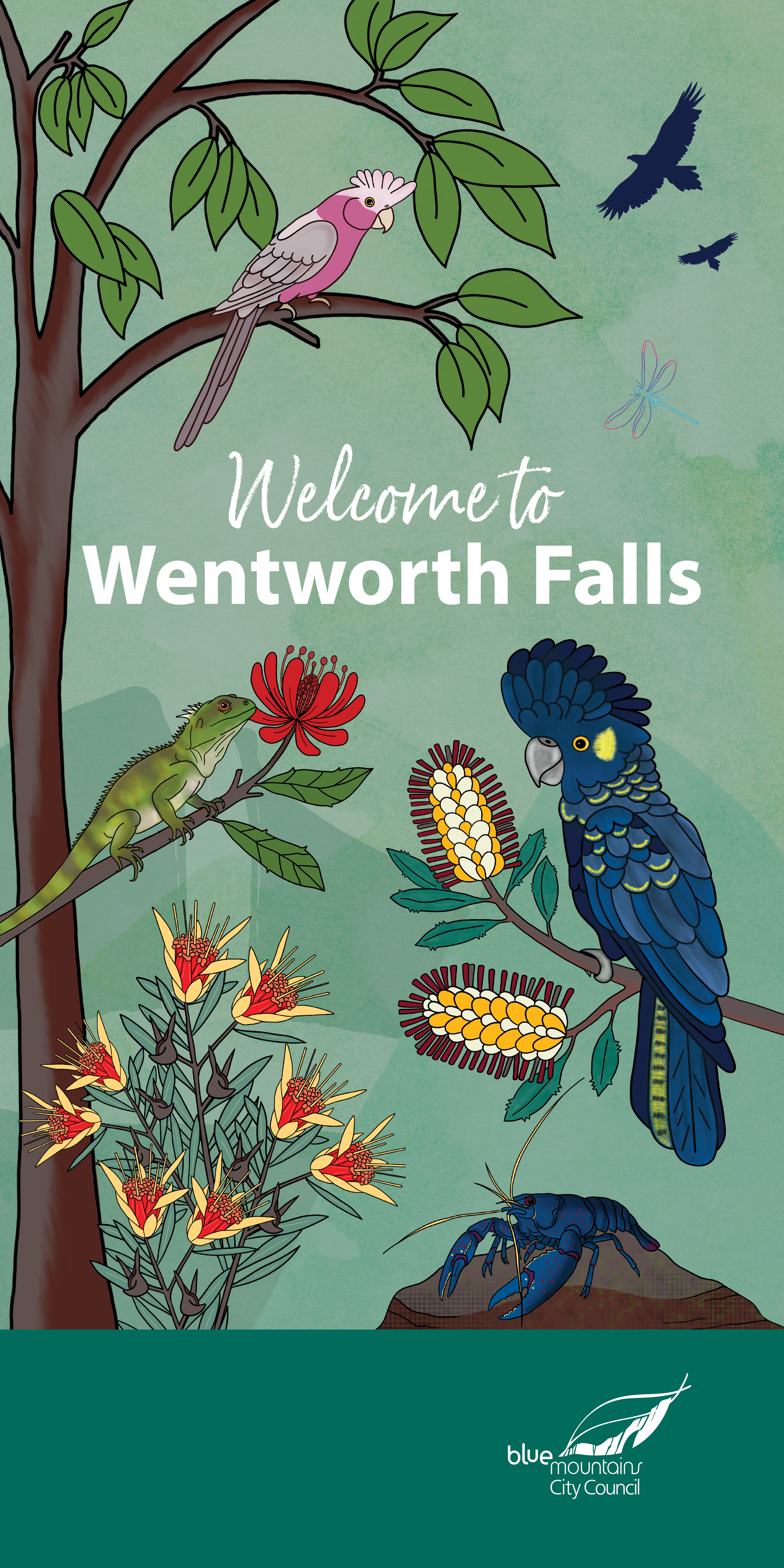 Winter Blue Mountains banner artwork featuring local wildlife and native flora displayed in Wentworth Falls