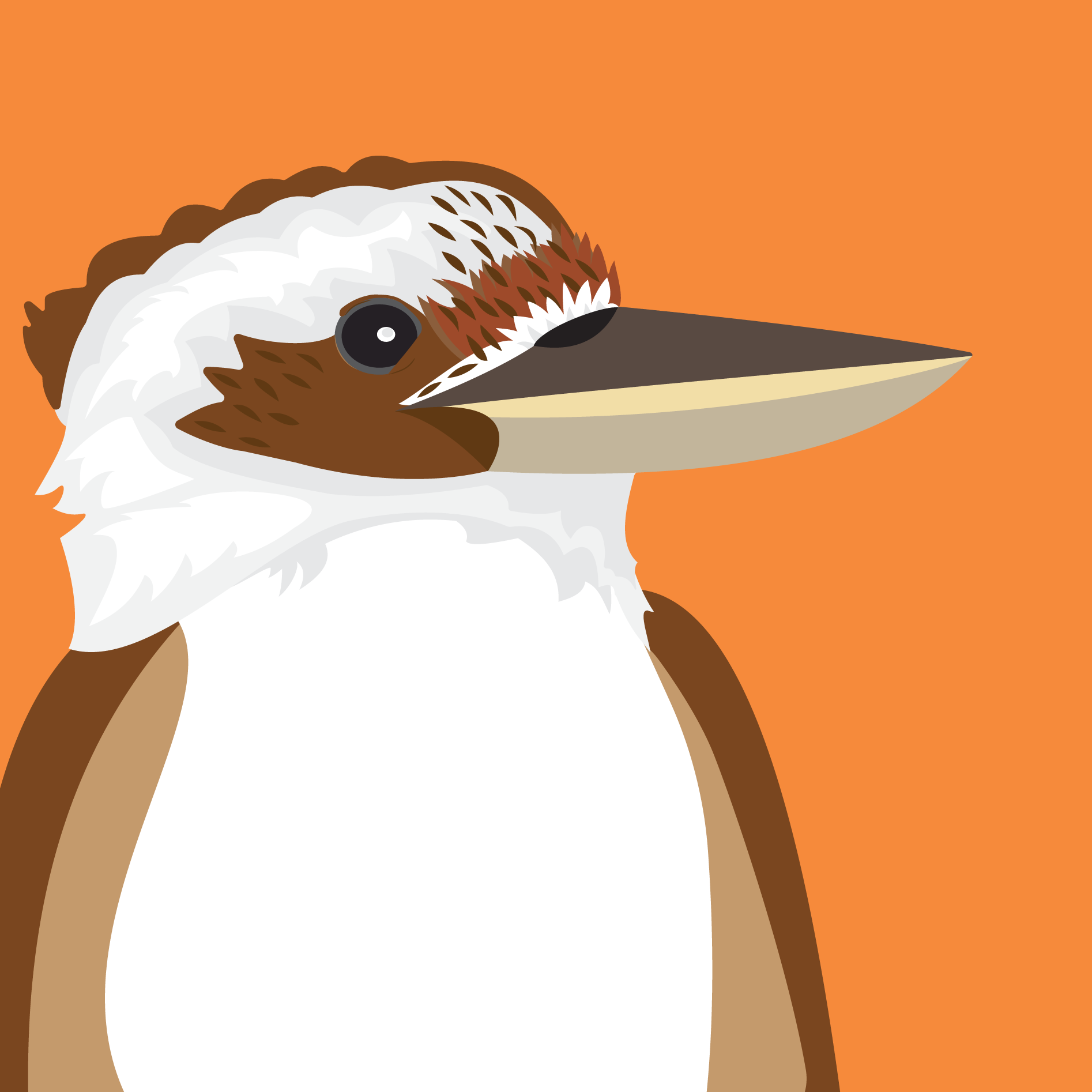 Digital illustration of a Kookaburra's head against an orange background.