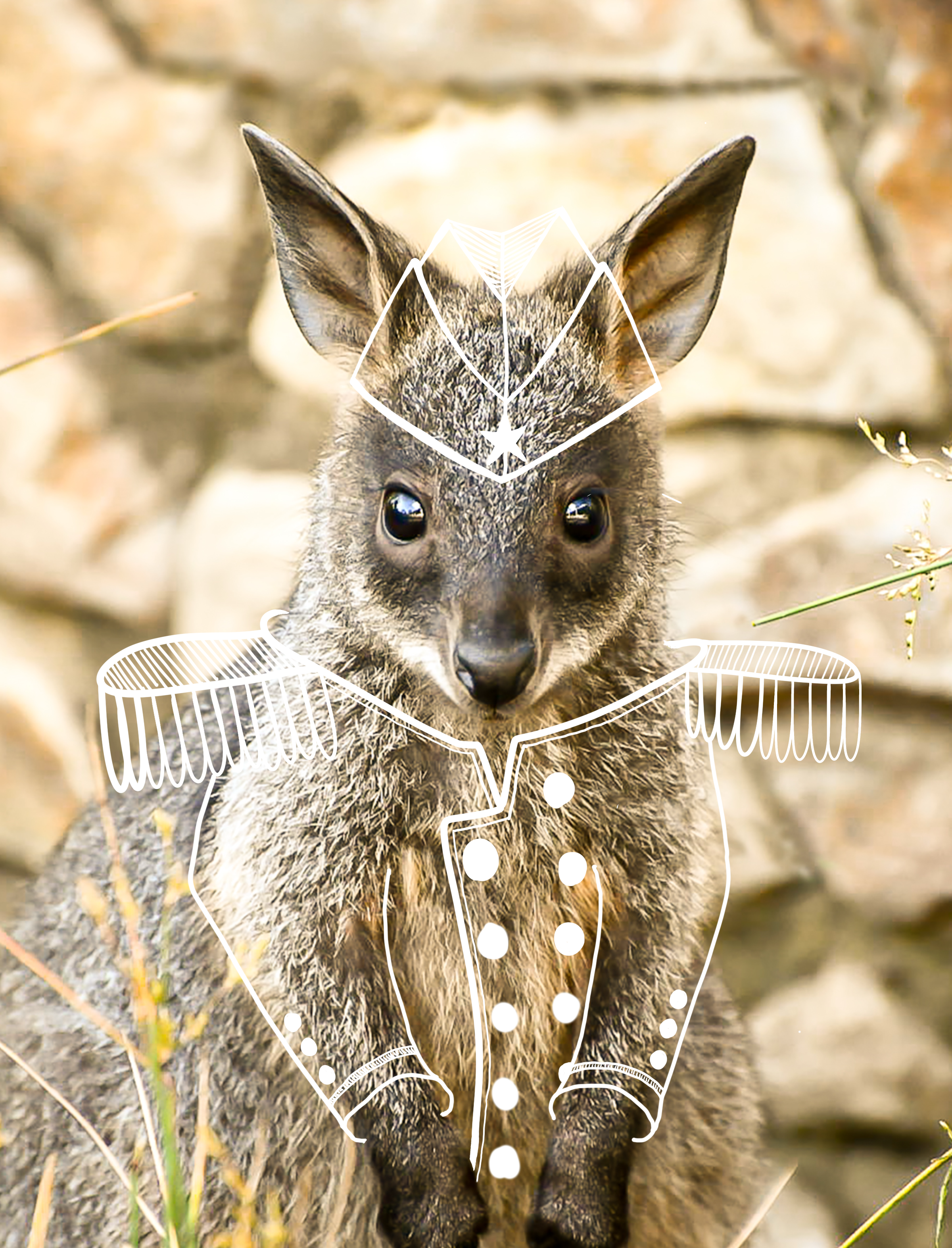 Close-up of a wolf's face with overlays of white line illustrations of a geometric fox head and a tailored jacket with buttons and decorative lines.